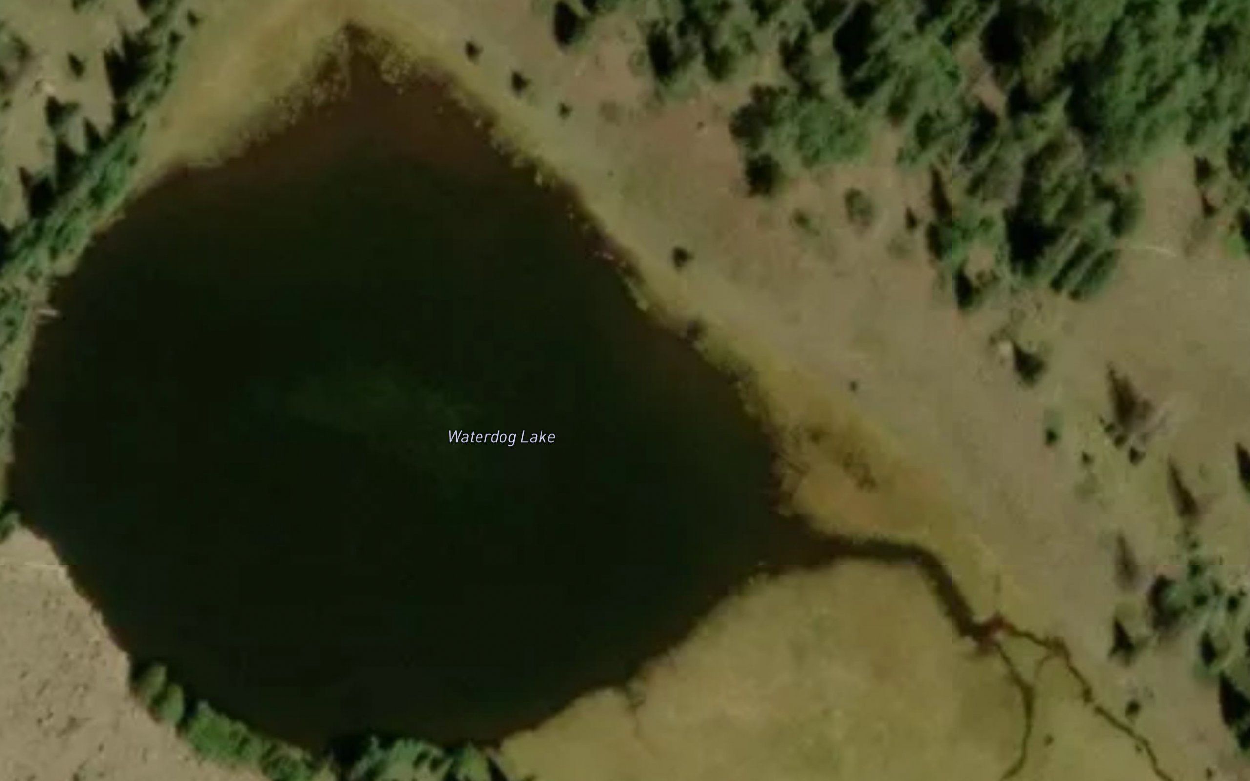 Waterdog Lake