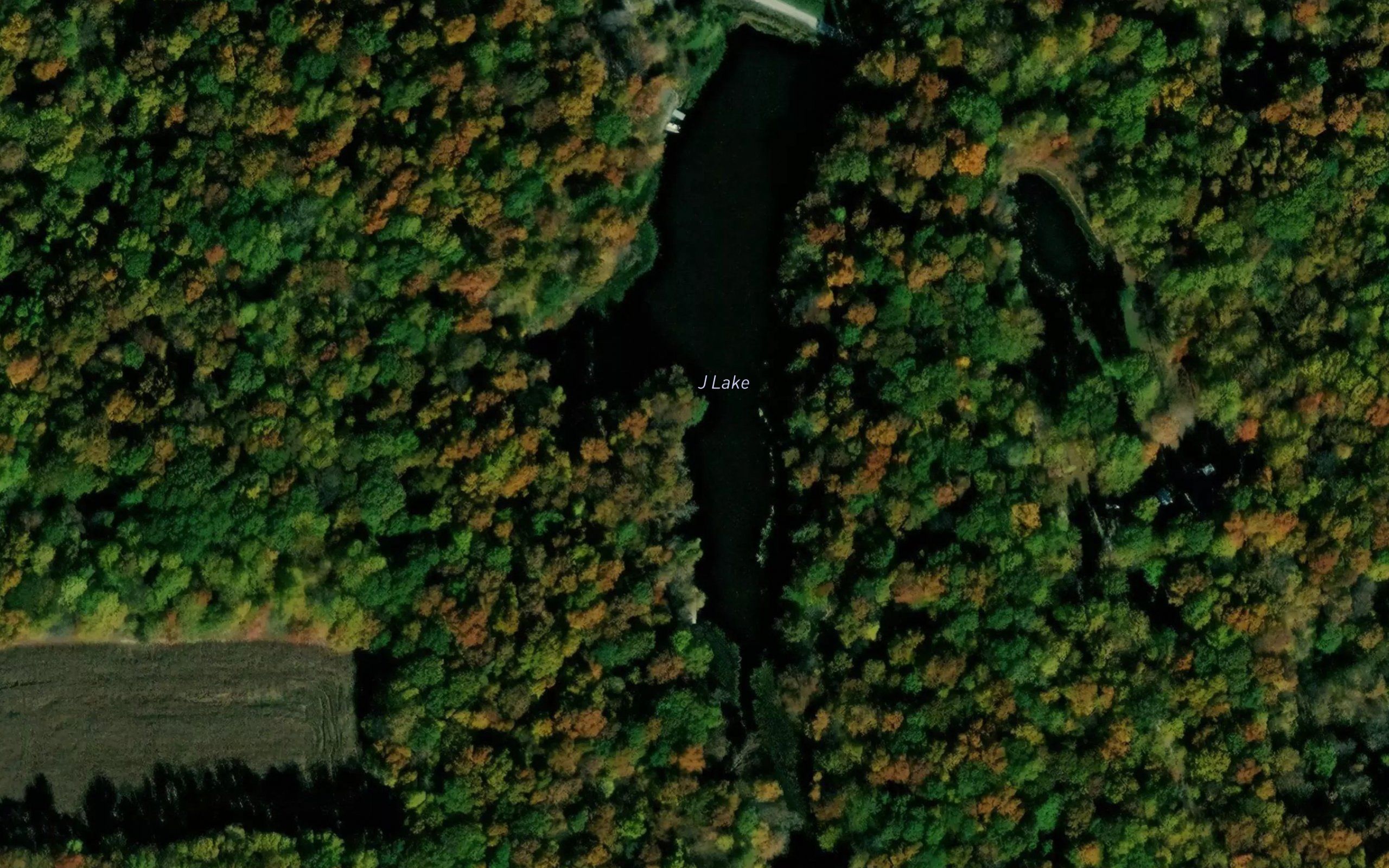 J Lake