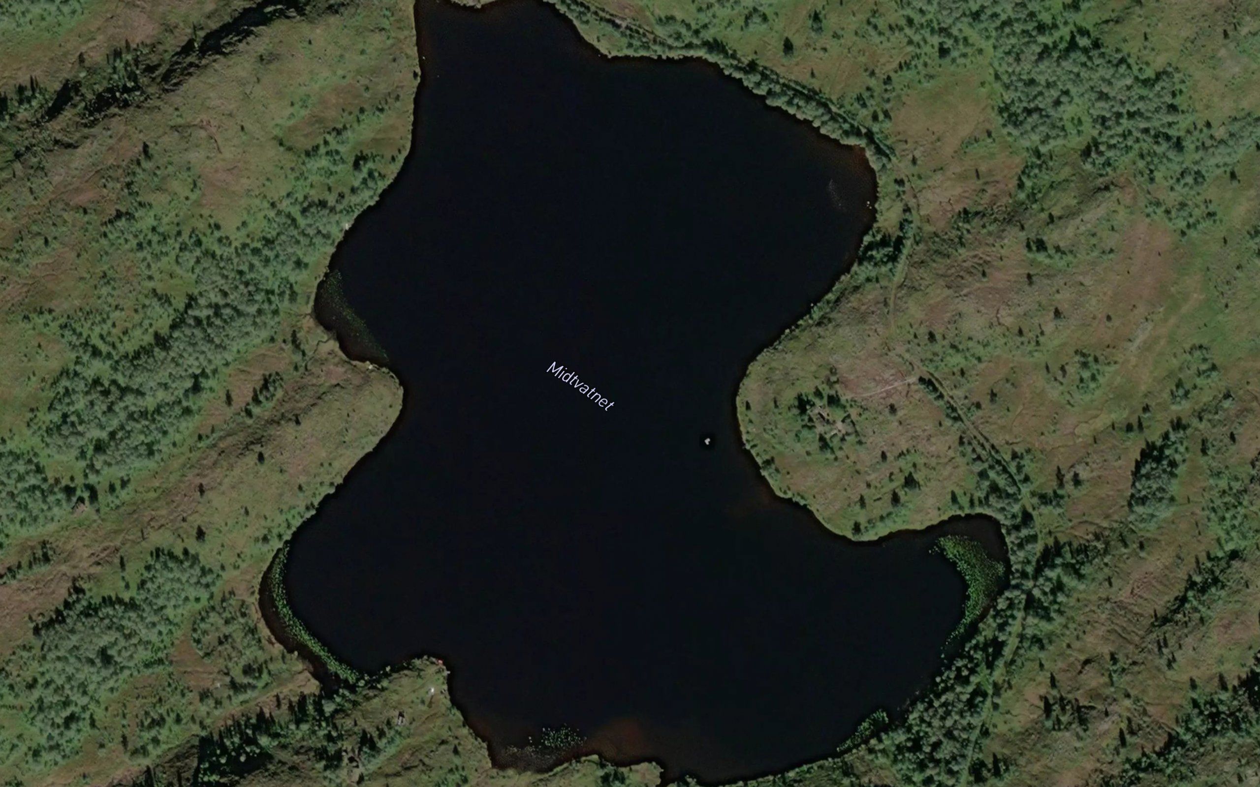 Midtvatnet