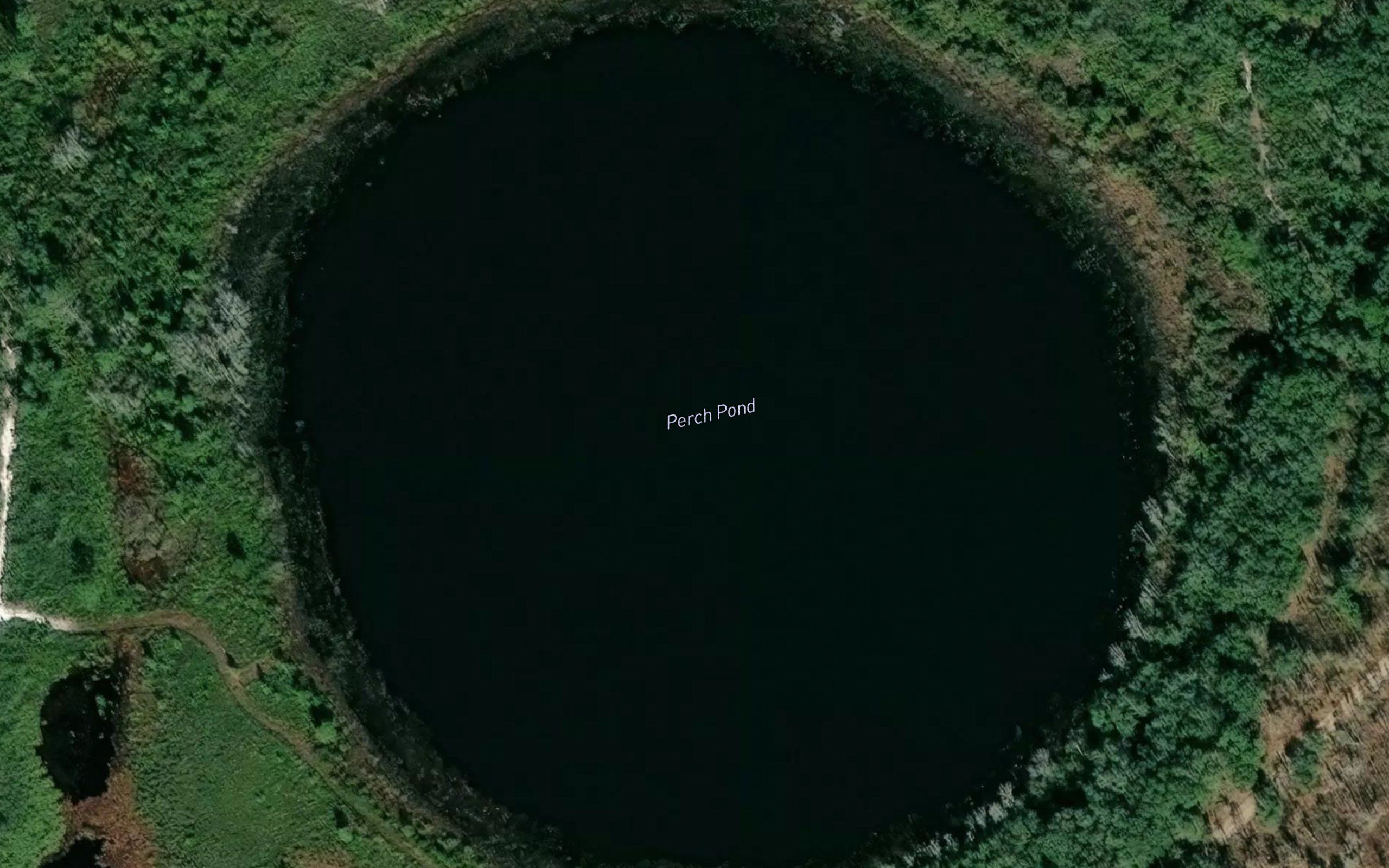 Perch Pond