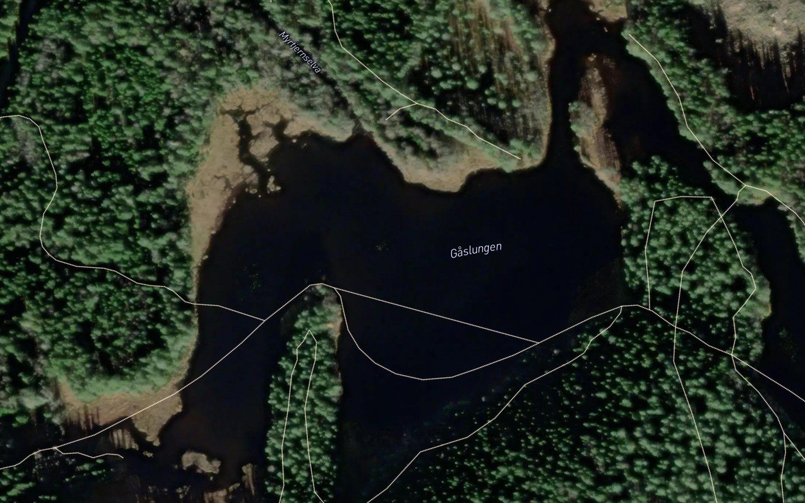 Gaslungen