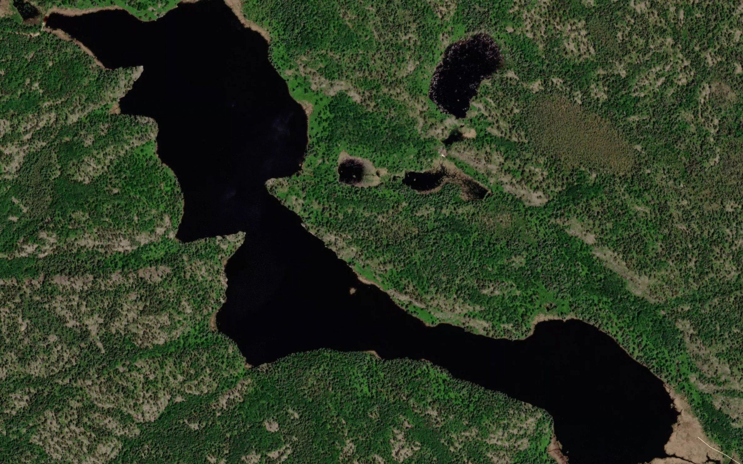Harvey Lake