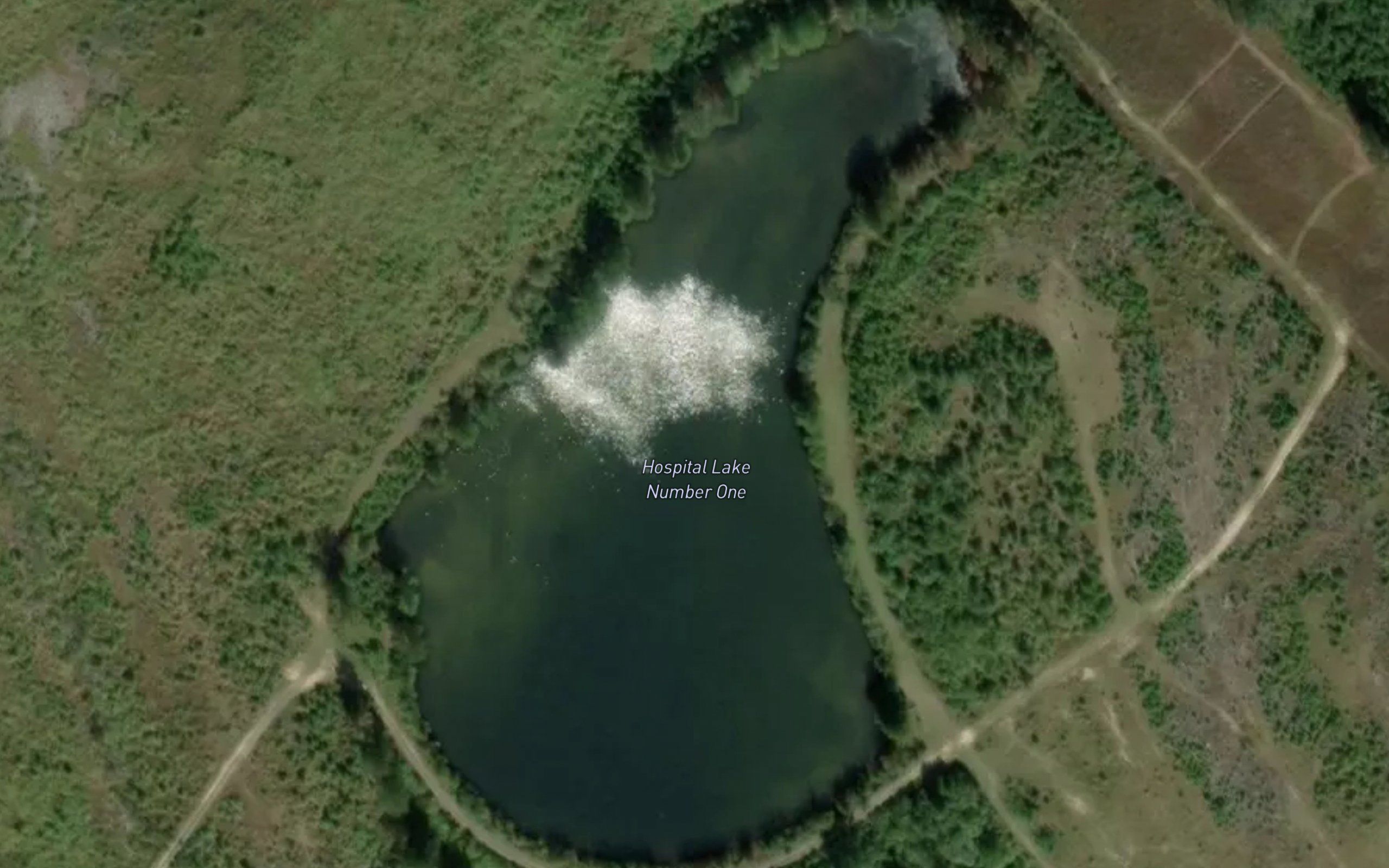 Hospital Lake Number One