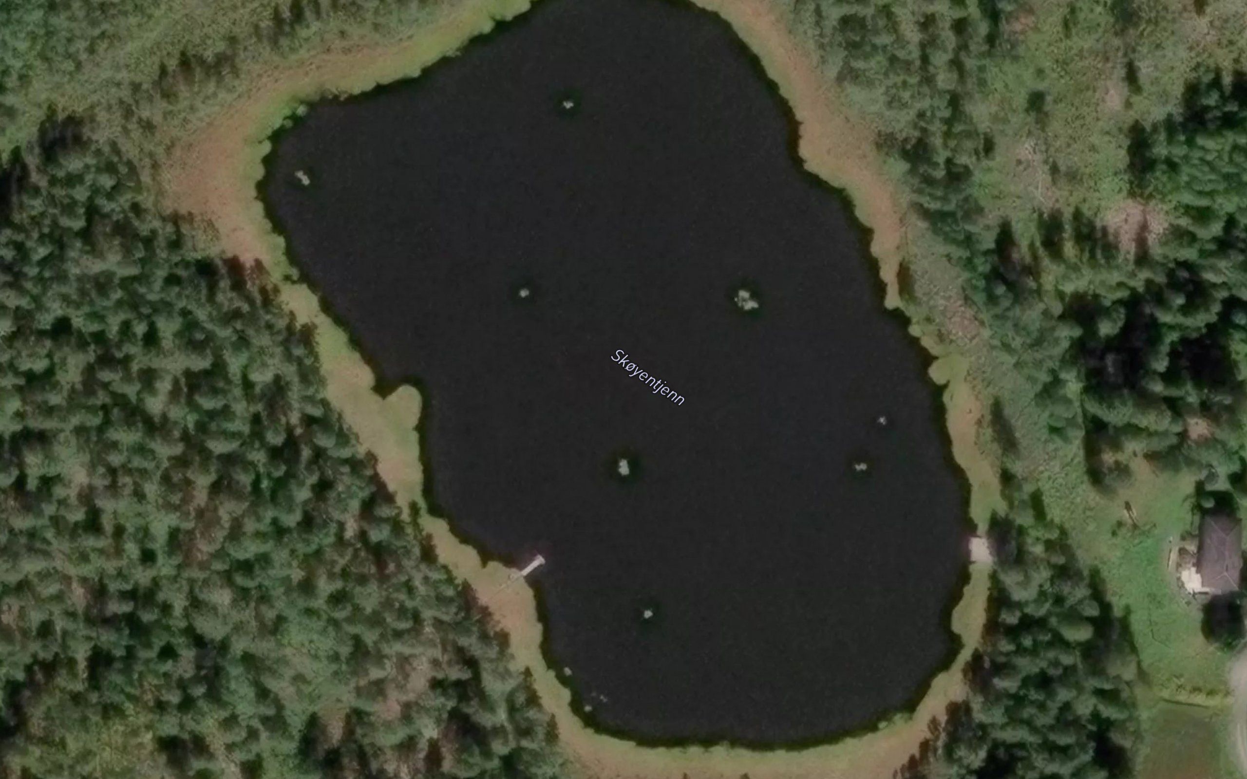 Skoyentjern