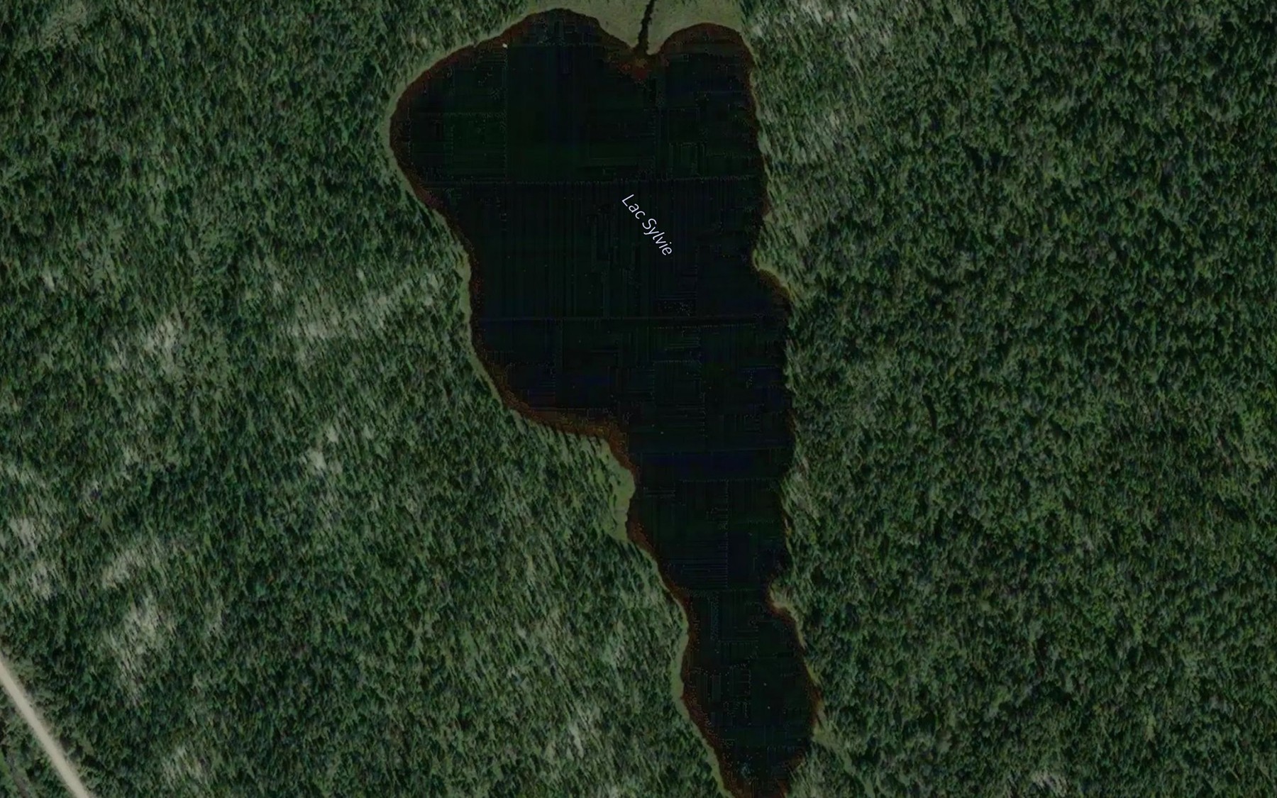 Satellite map of the Lac Sylvie