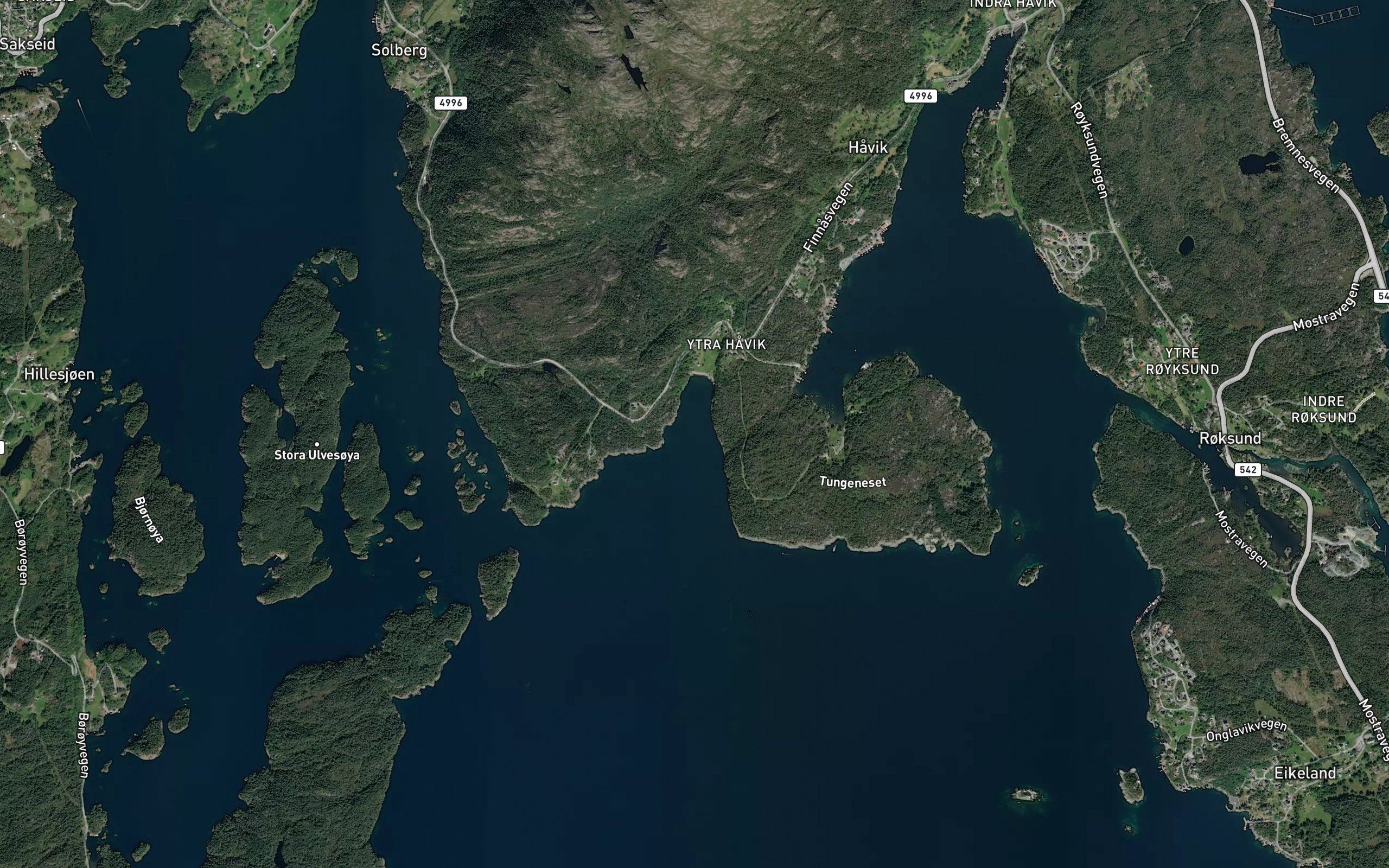Havikvika