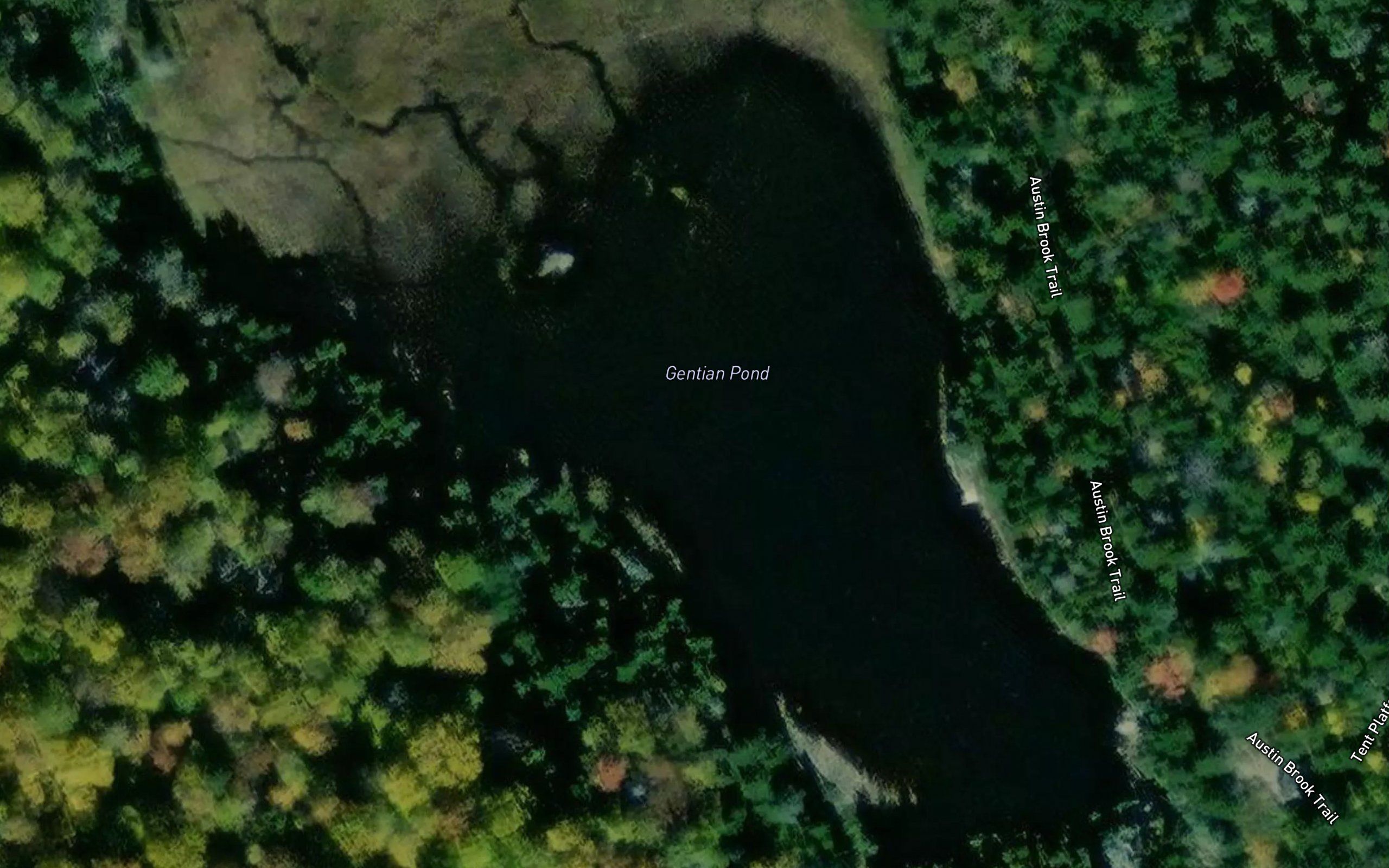 Gentian Pond