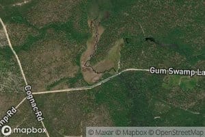 Gum Swamp Lake