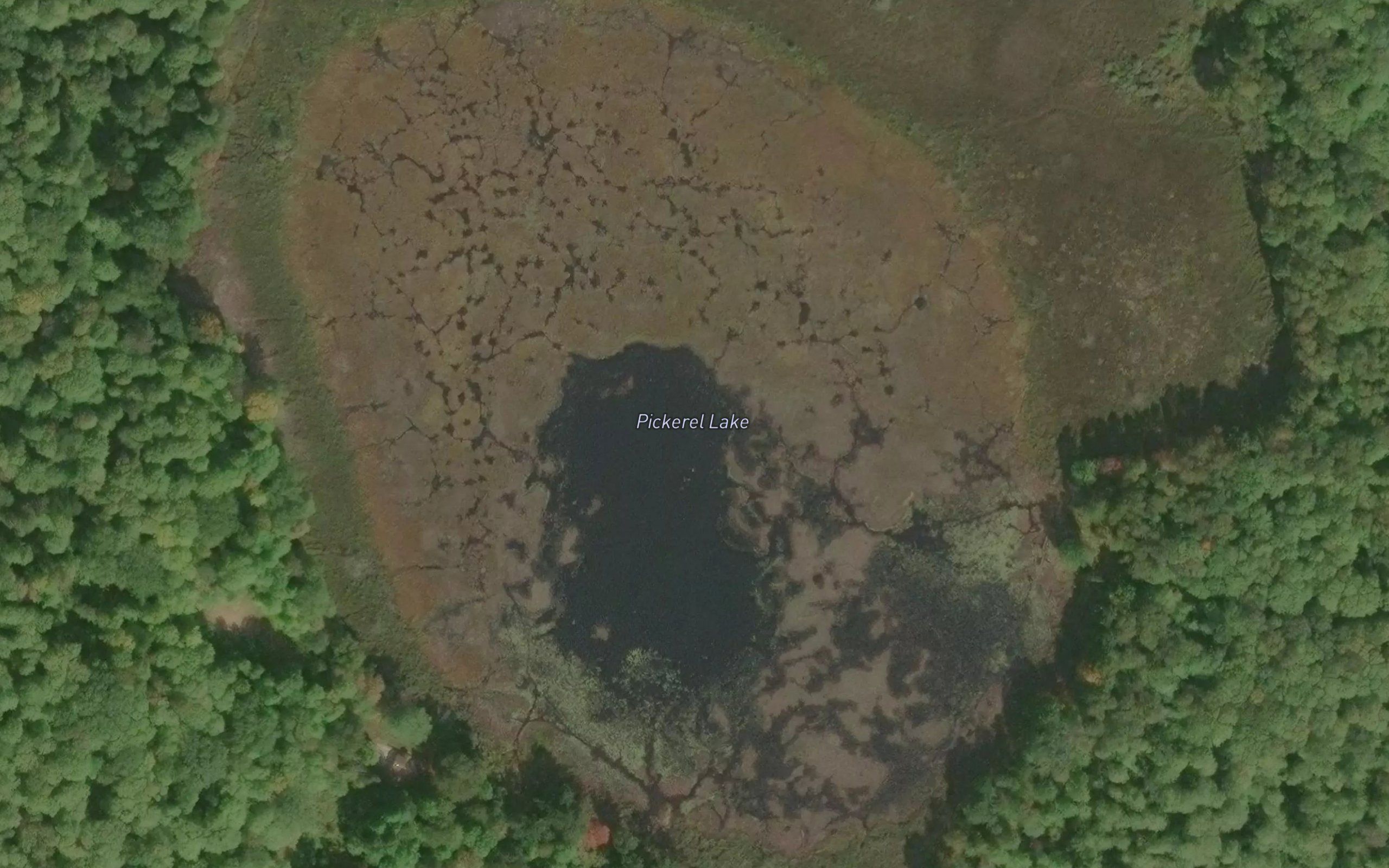 Pickerel Lake