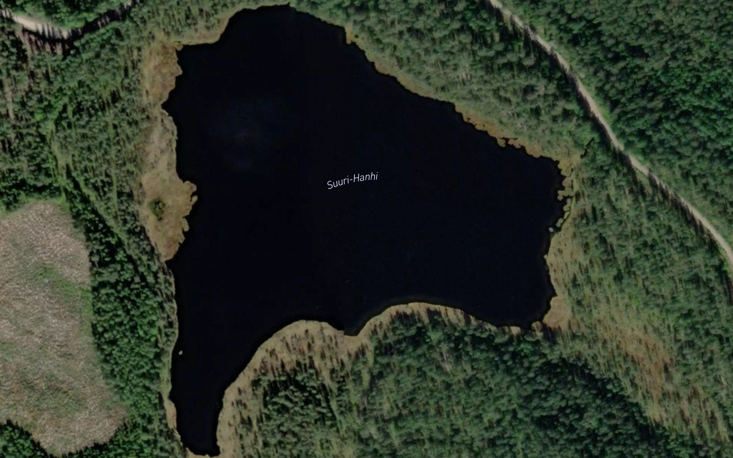 Suuri-Hanhi