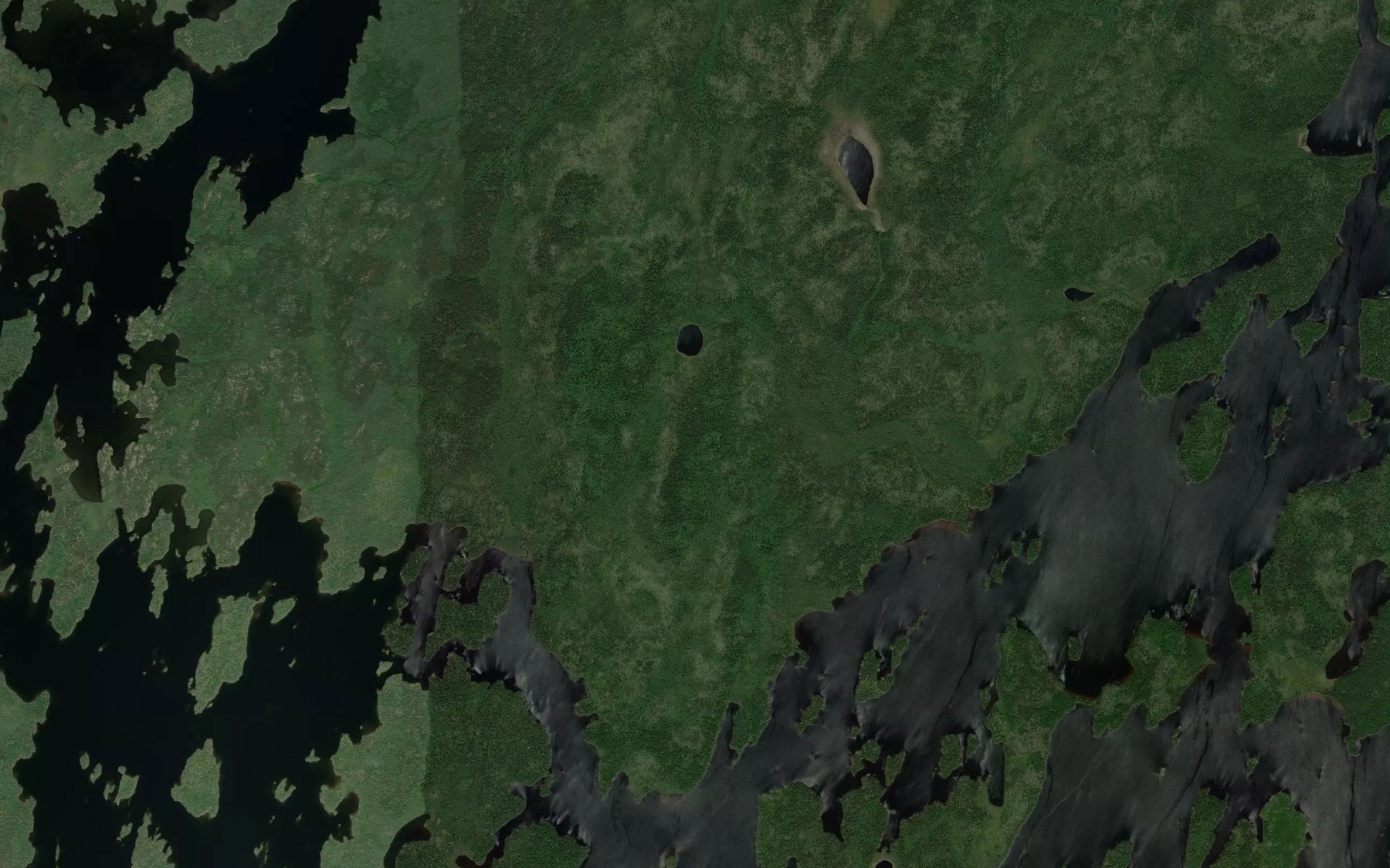 Satellite map of the Northeast Arm