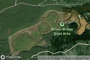 Brown Bridge Pond