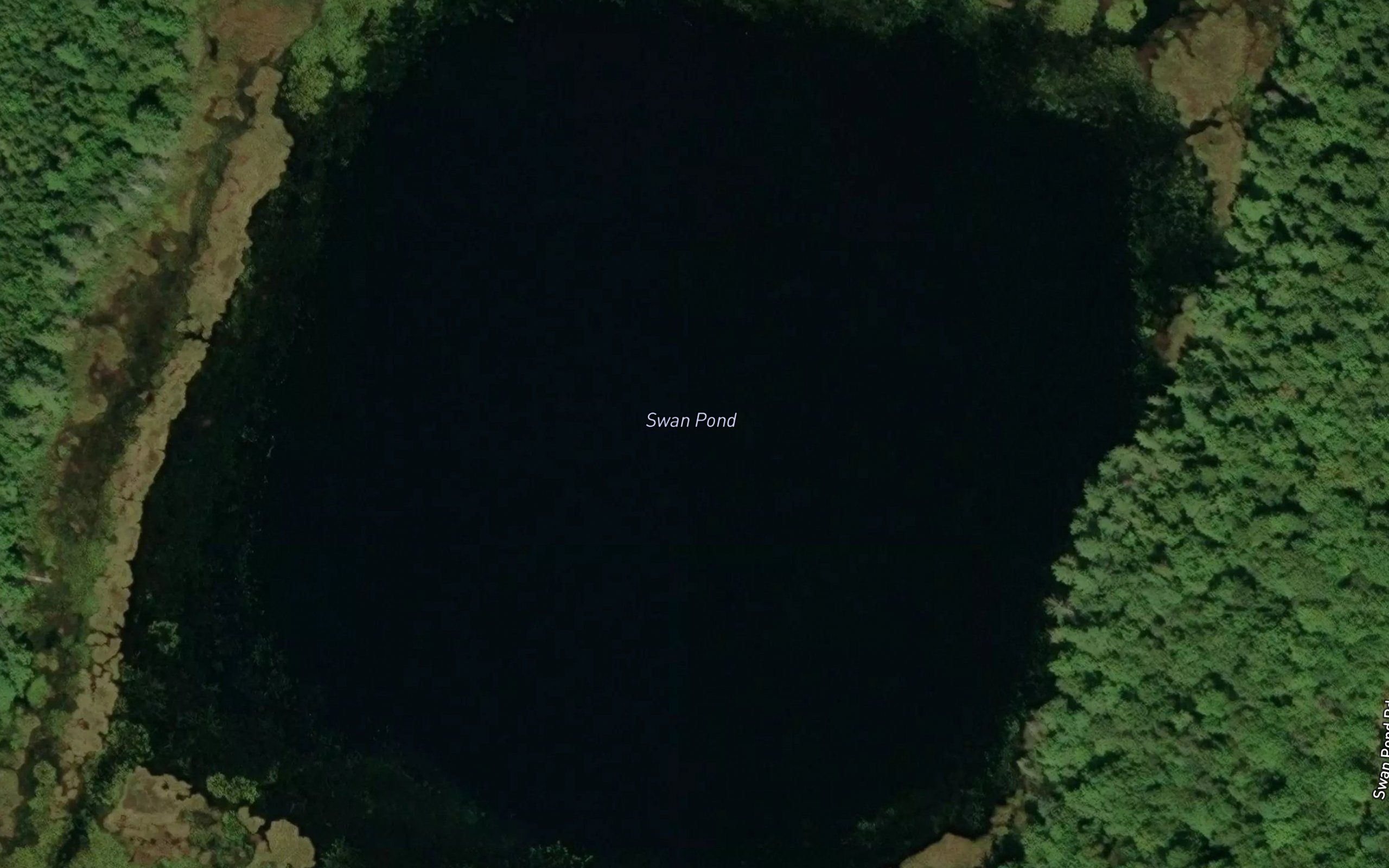 Swan Pond