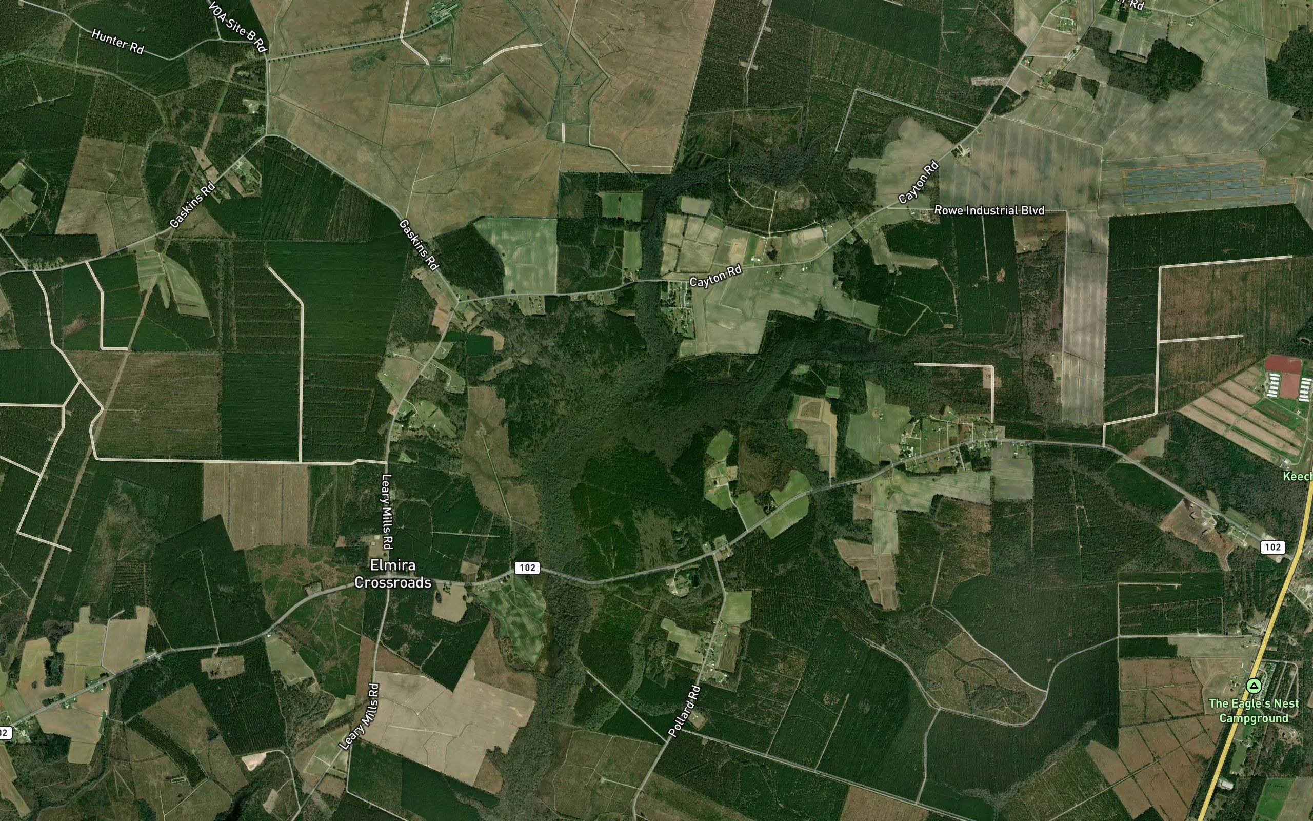 Gorham Swamp