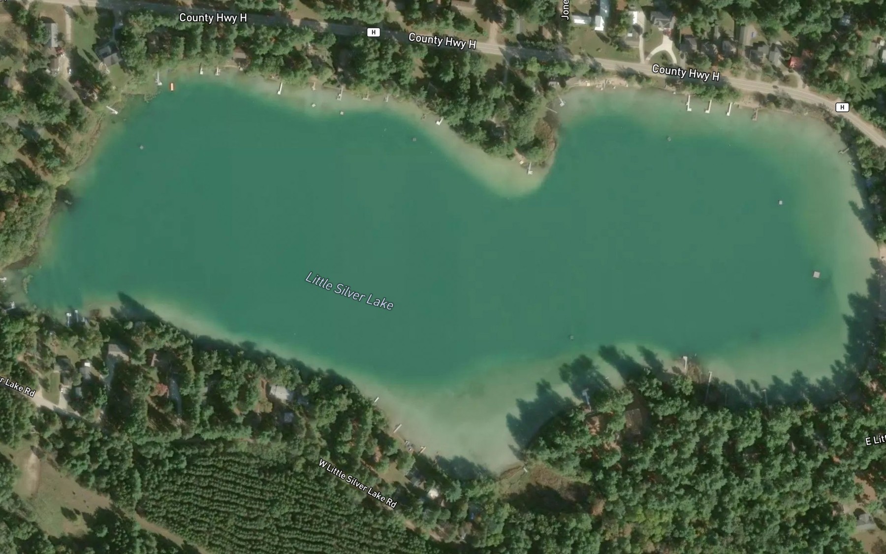 Satellite map of the Silver Lake