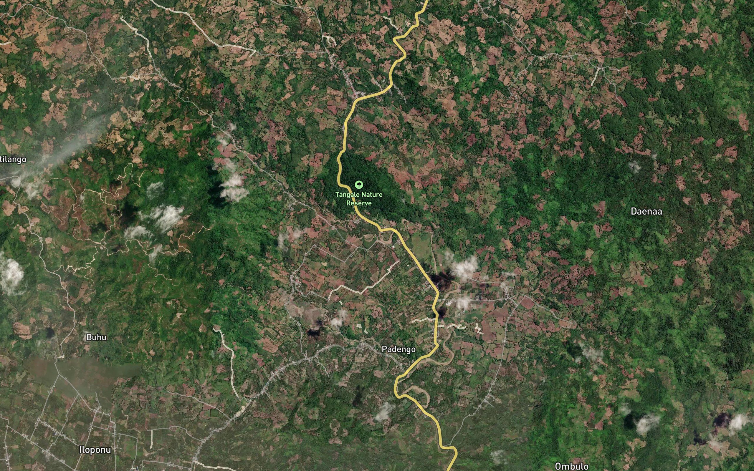 Dutula Patente