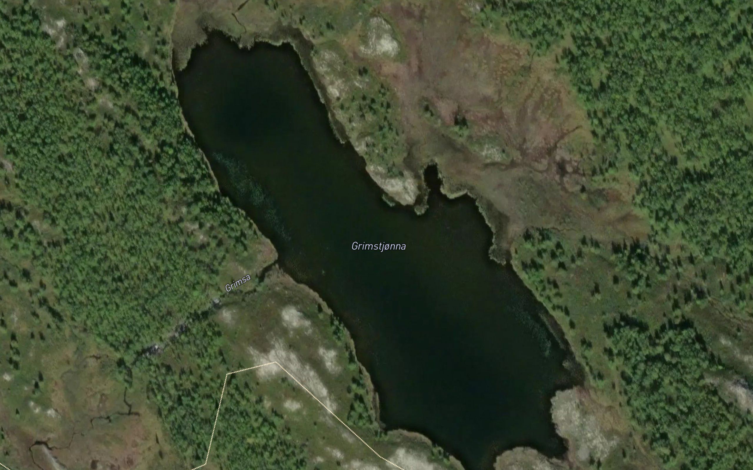 Grimstjorna
