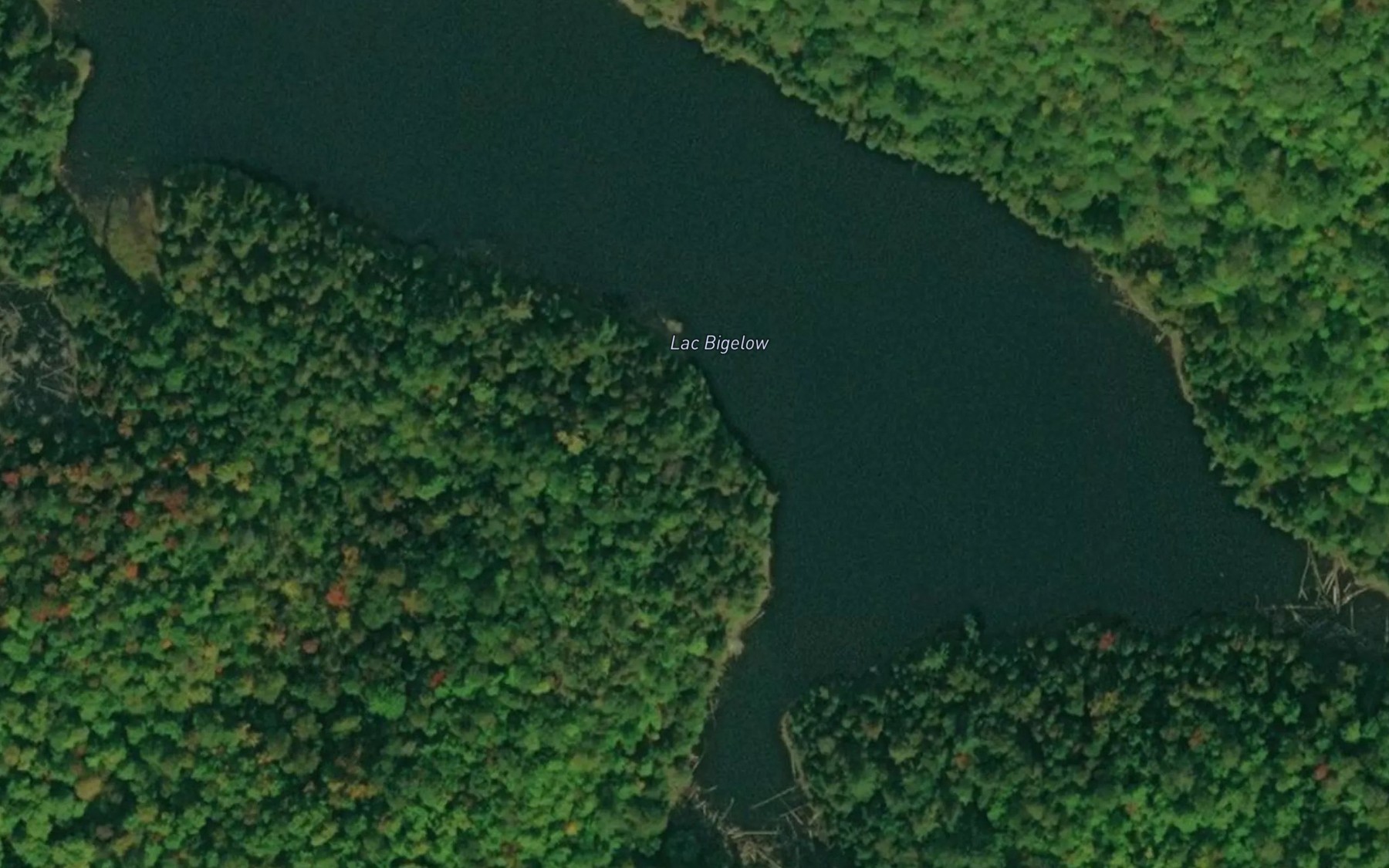 Satellite map of the Lac Bigelow
