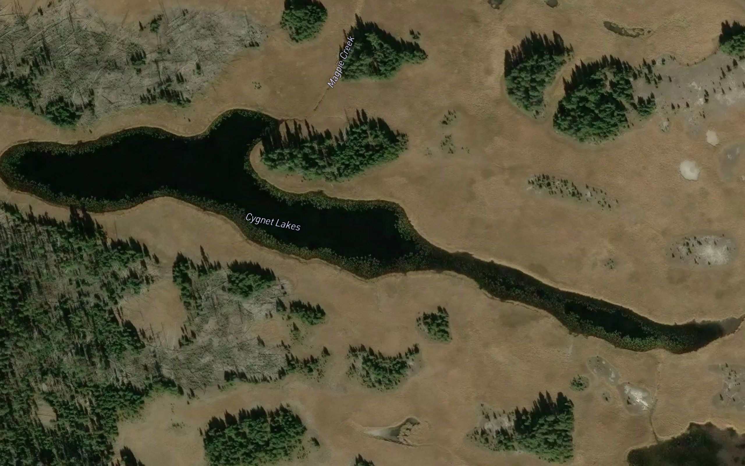 Cygnet Lakes