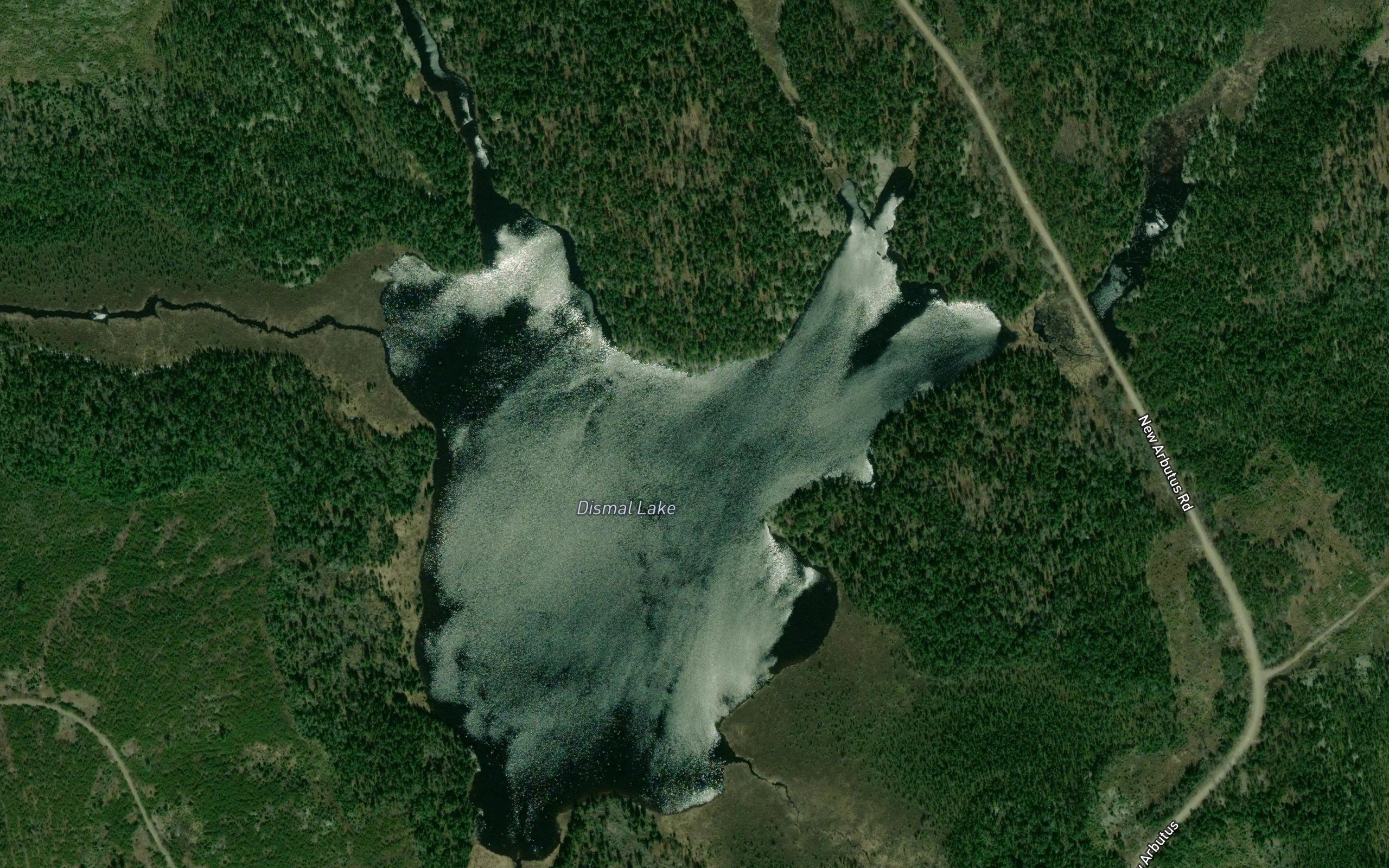 Dismal Lake