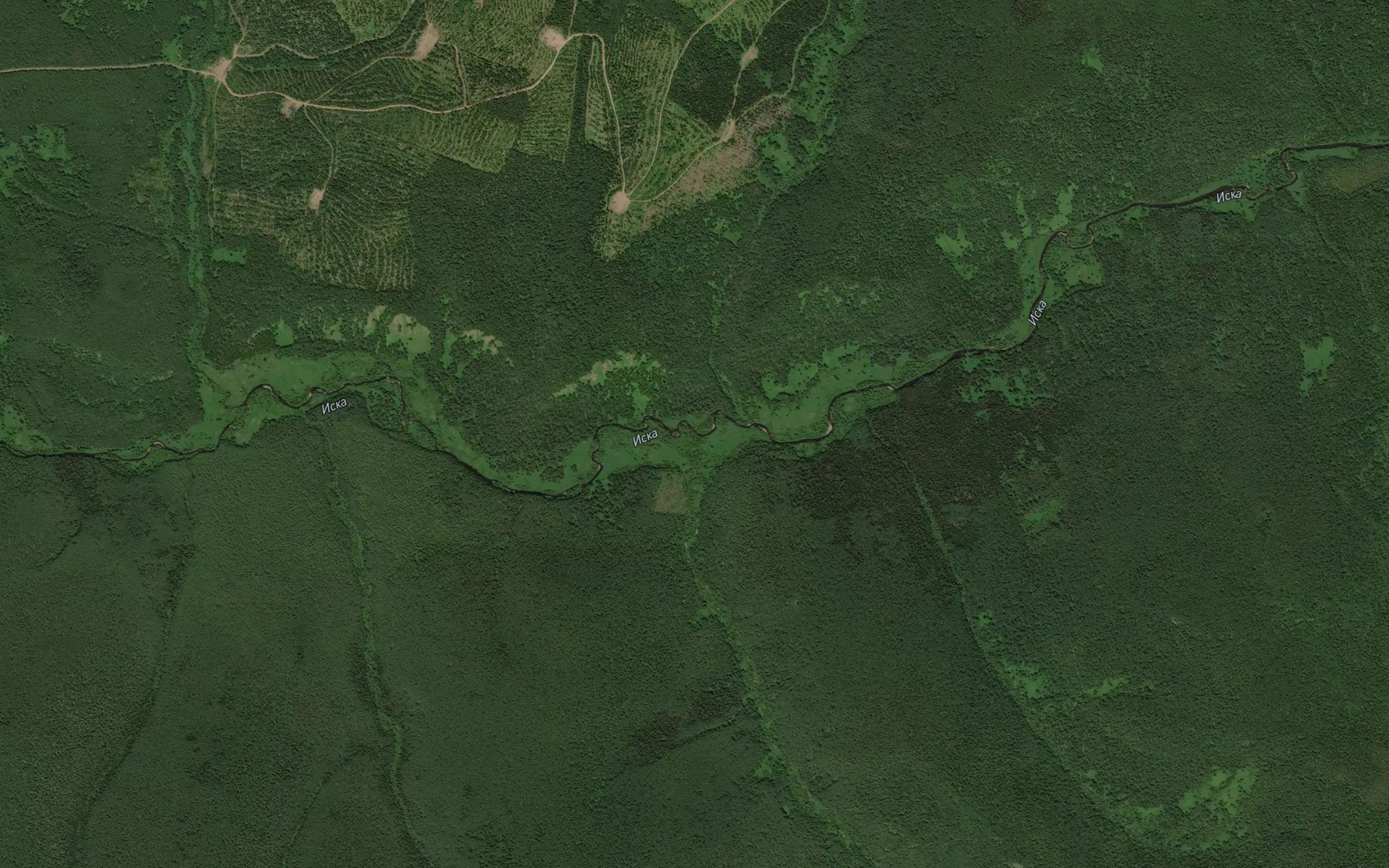 Satellite map of the Svetlyy