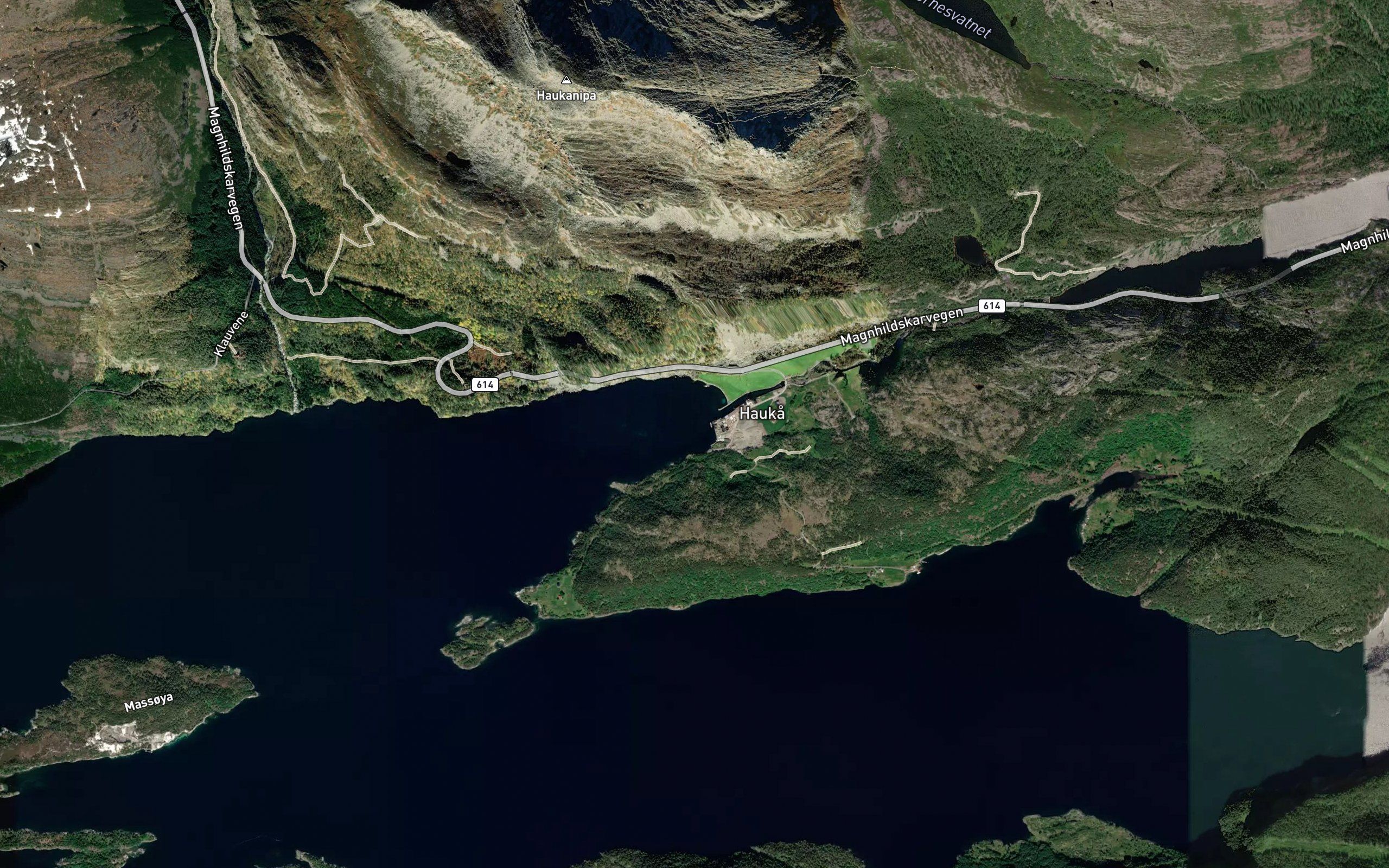 Haukavika