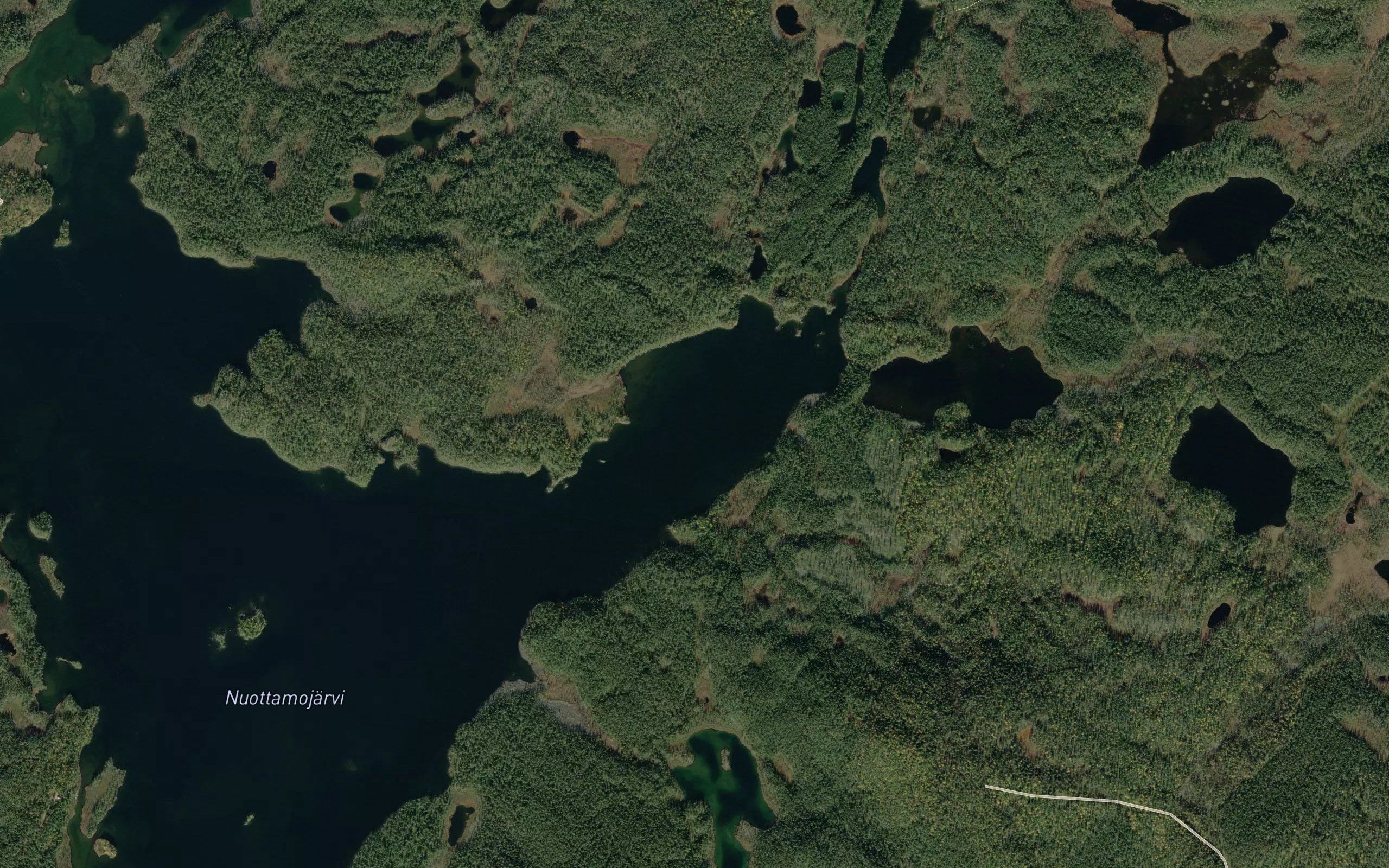 Haapavuono