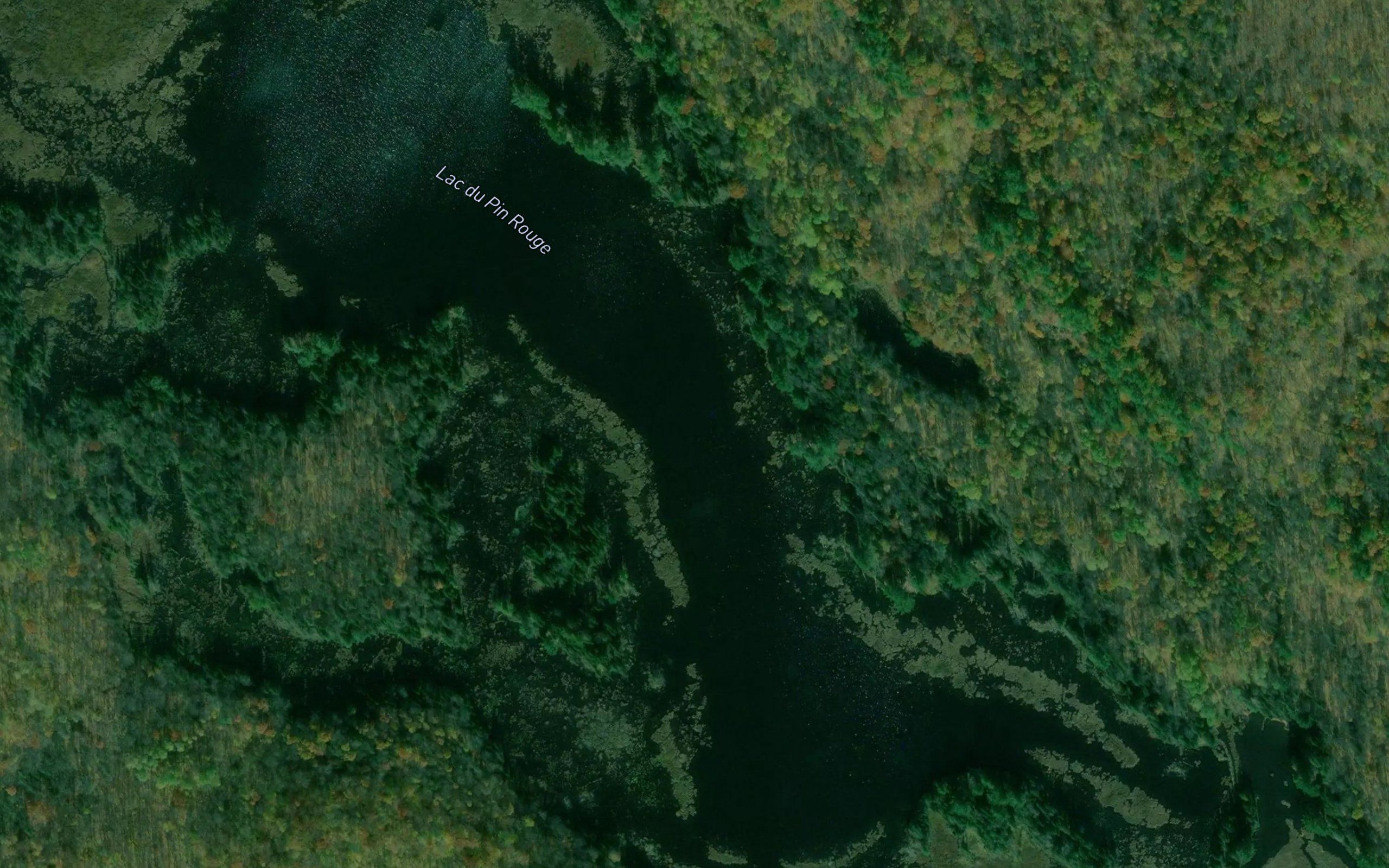 Lac du Pin Rouge