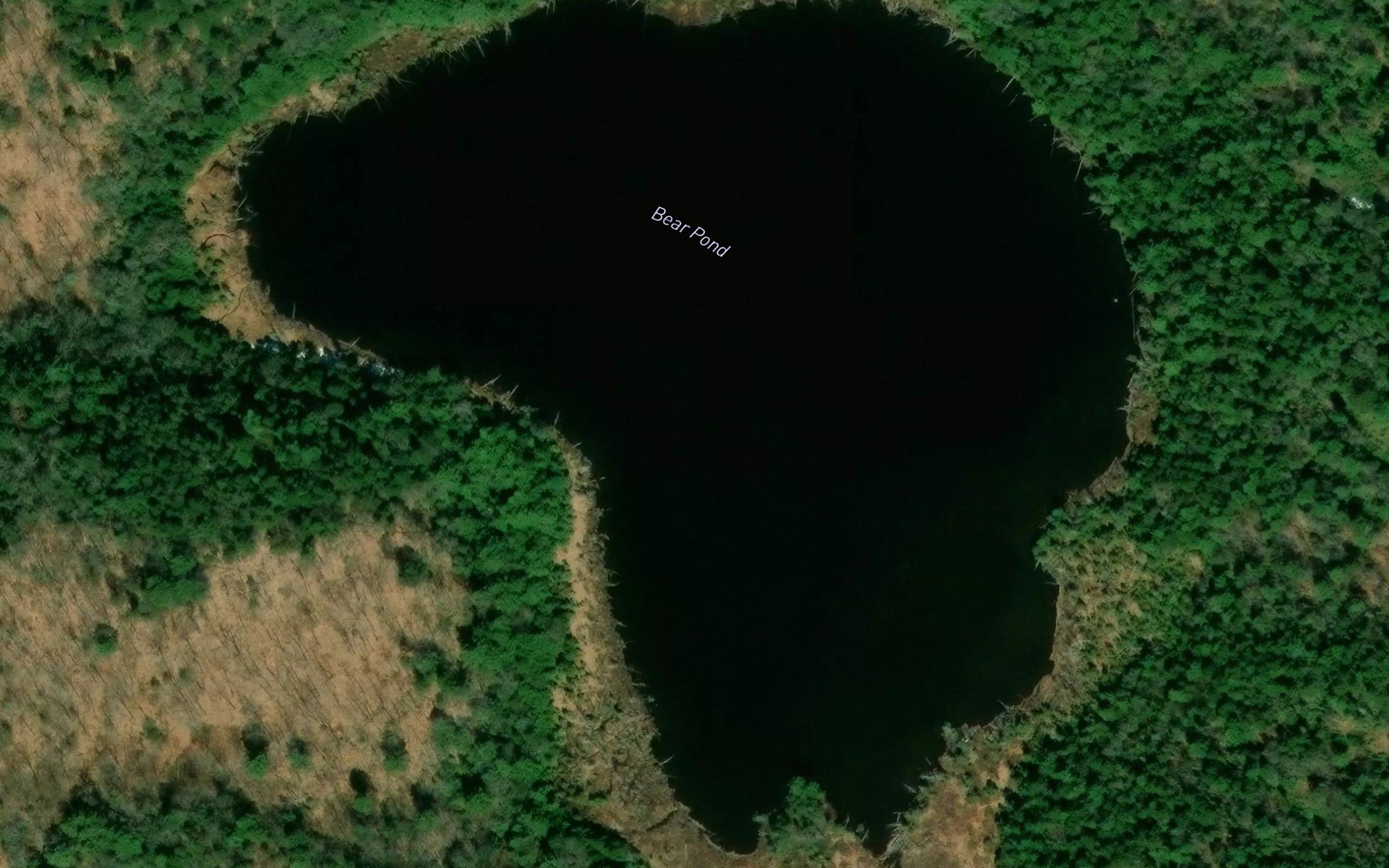 Bear Pond
