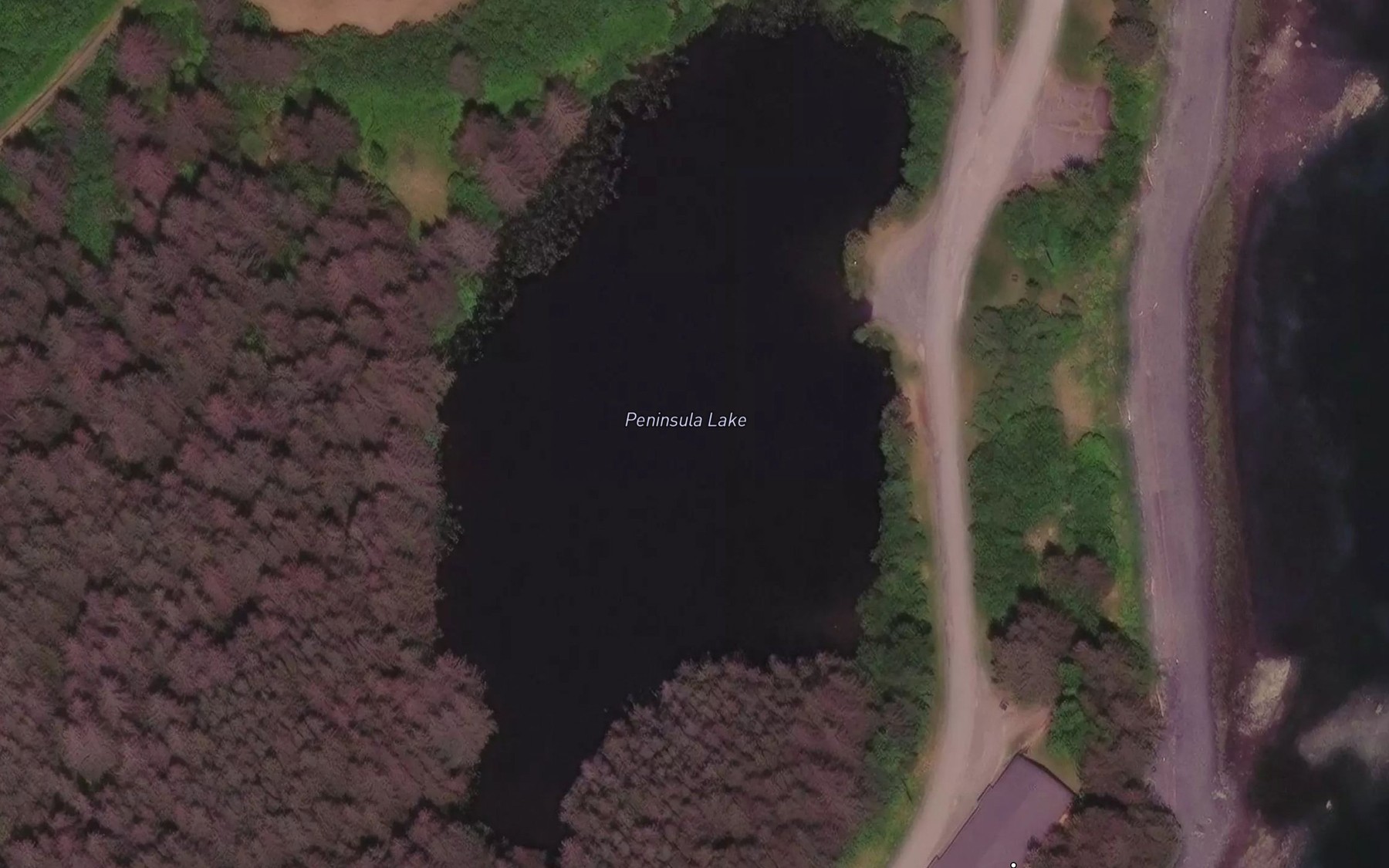 Satellite map of the Peninsula Lake