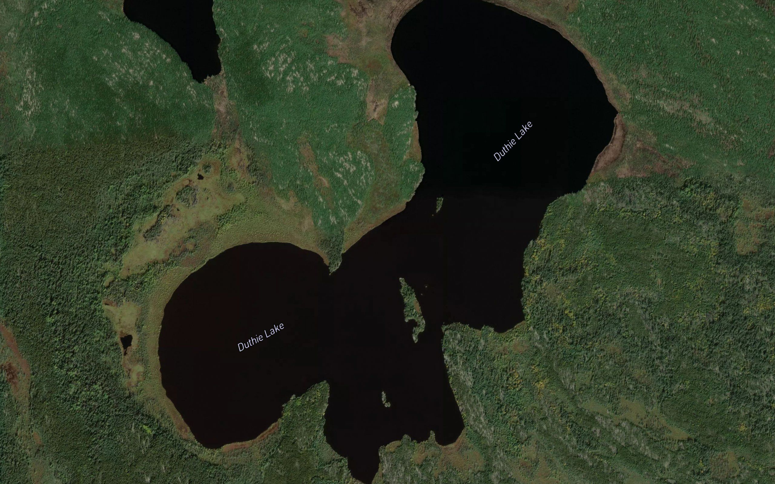 Duthie Lake
