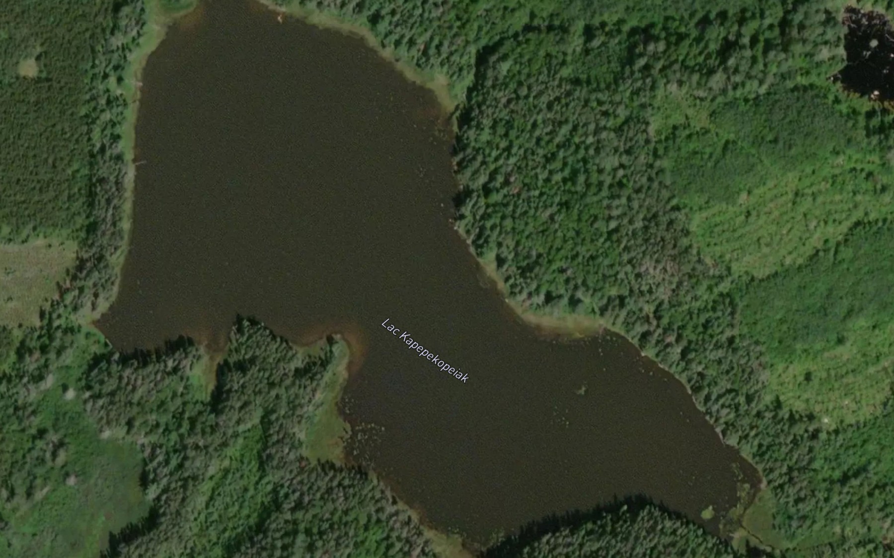 Satellite map of the Lac Kapepekopeiak