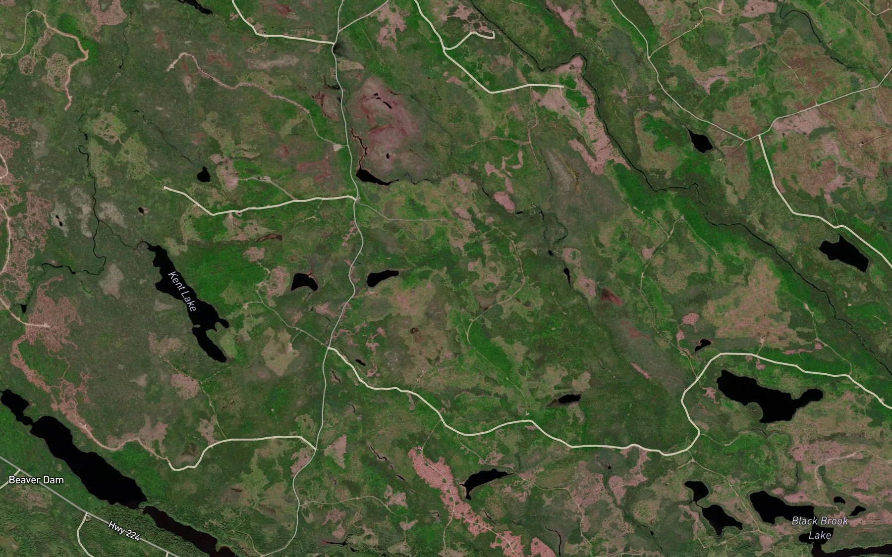 Satellite map of the Cope Pond
