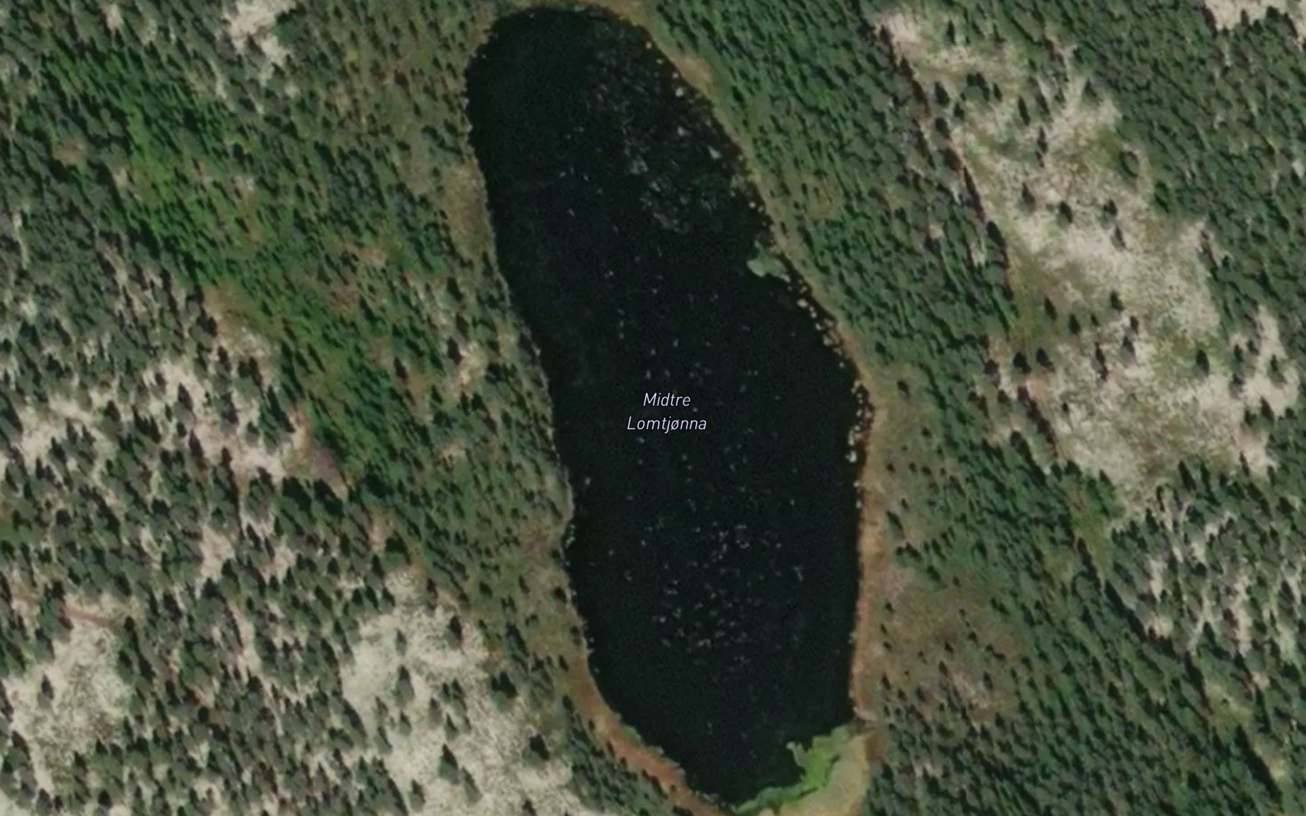 Lomtjorna,midtre