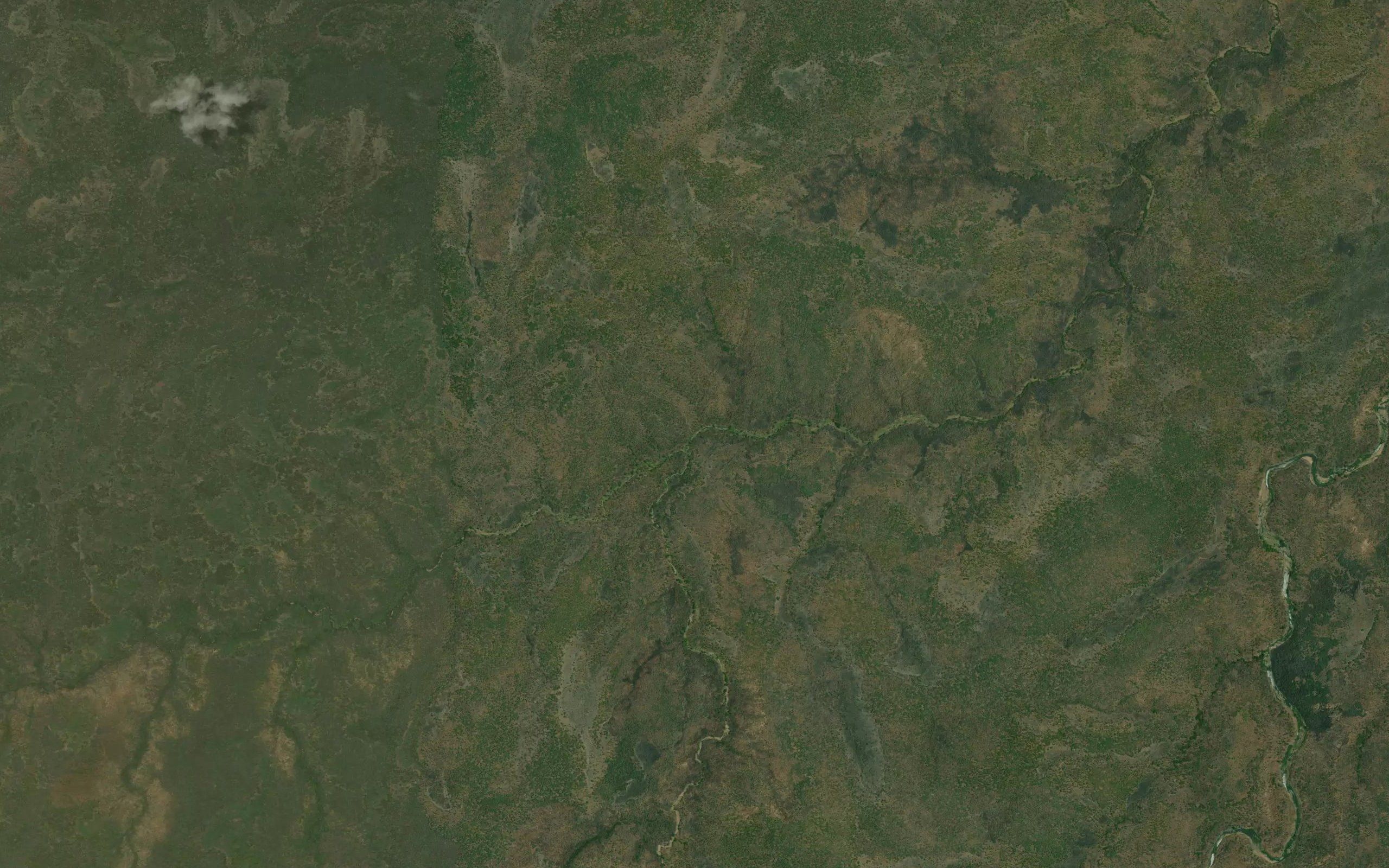 Linzere