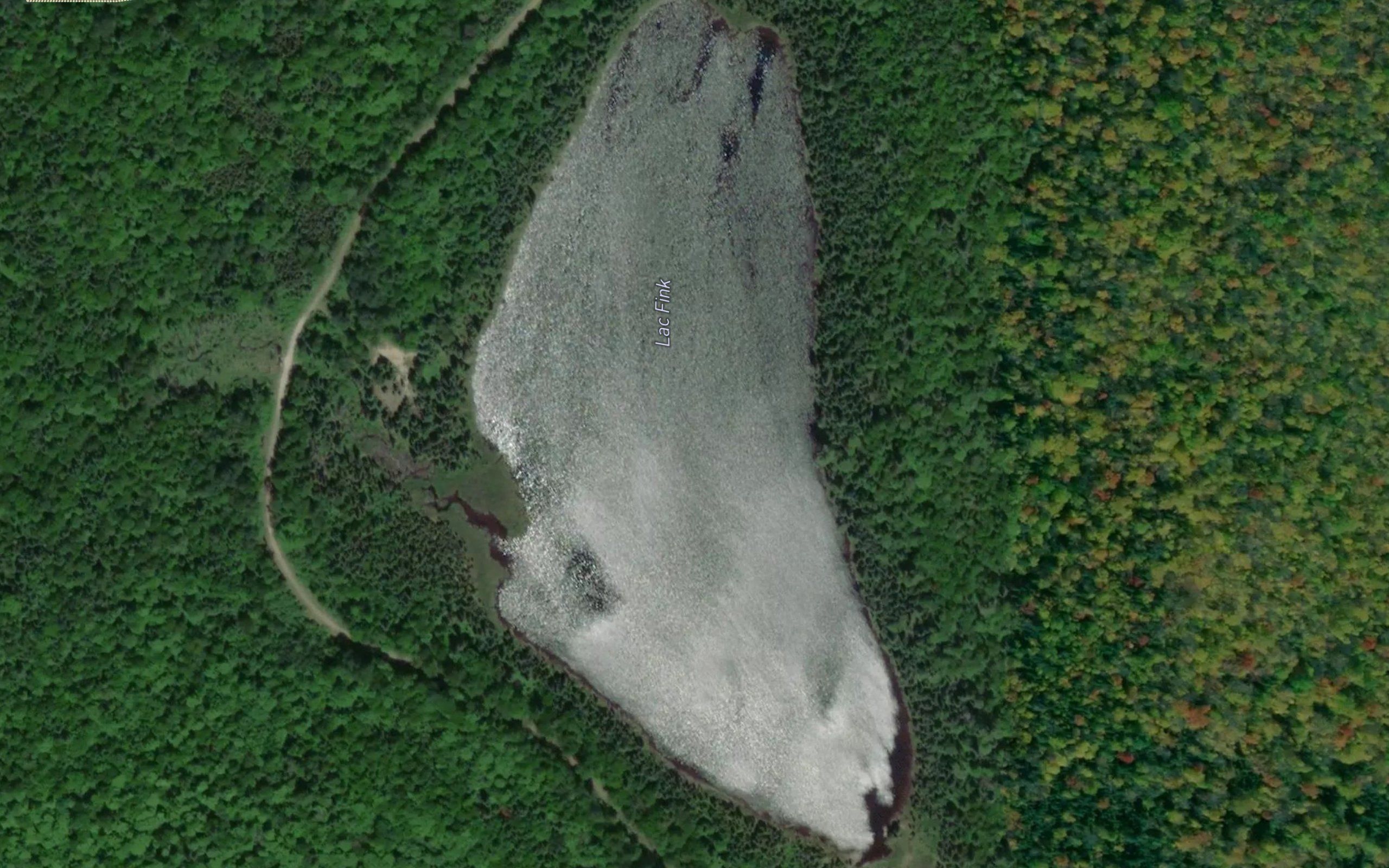Lac Fink