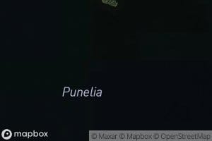Punelia