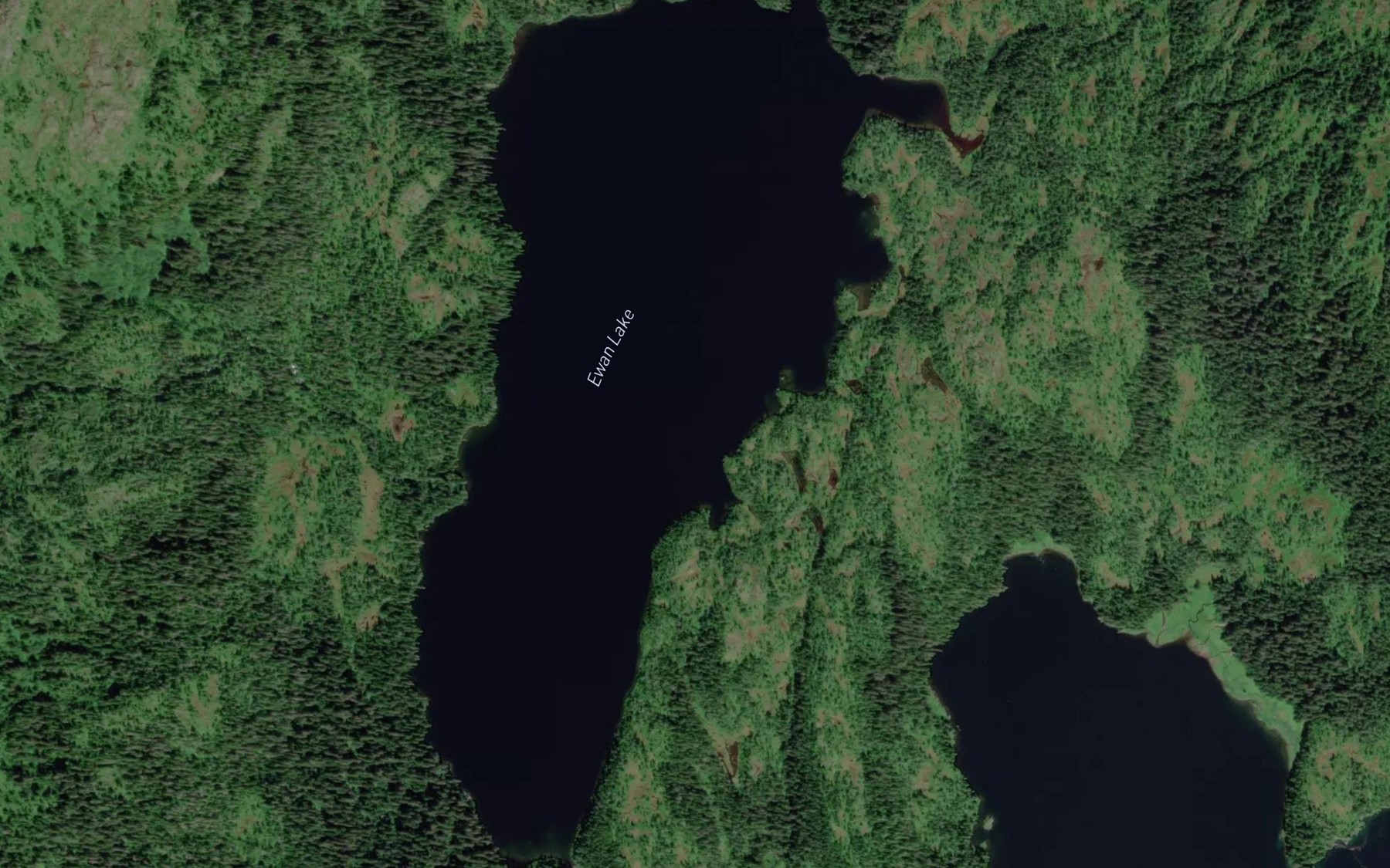Satellite map of the Ewan Lake