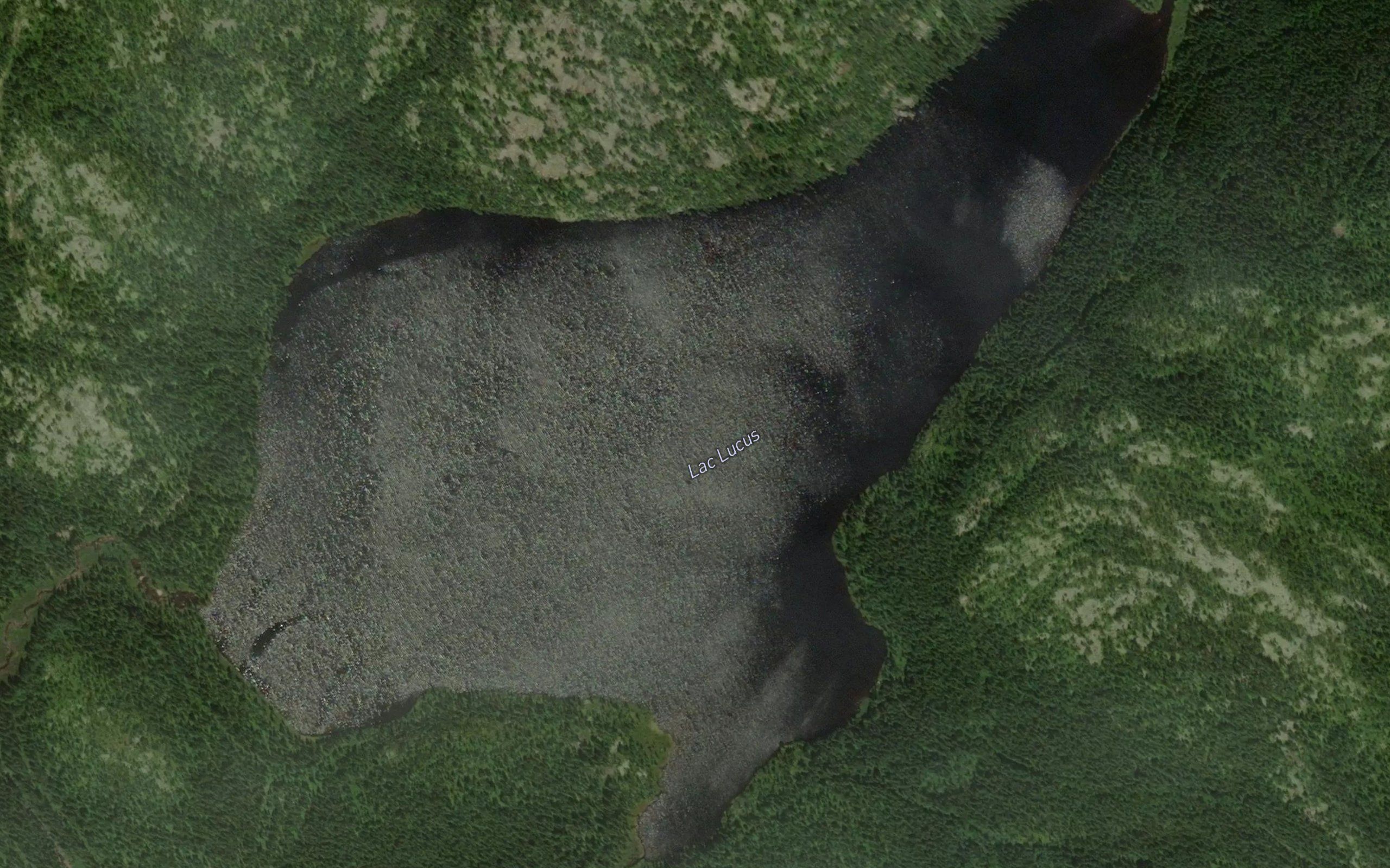 Lac Lucus