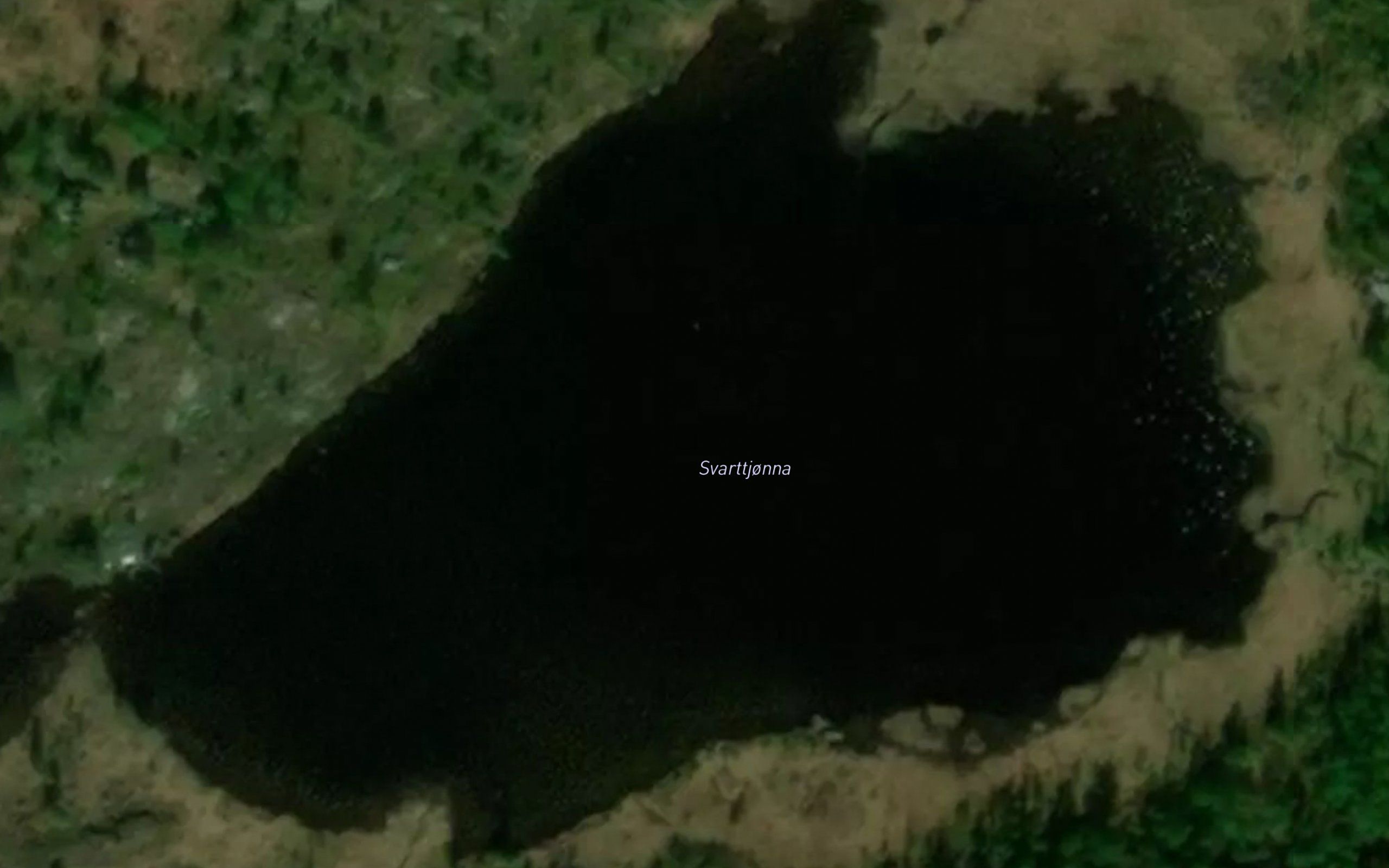 Svarttjorna