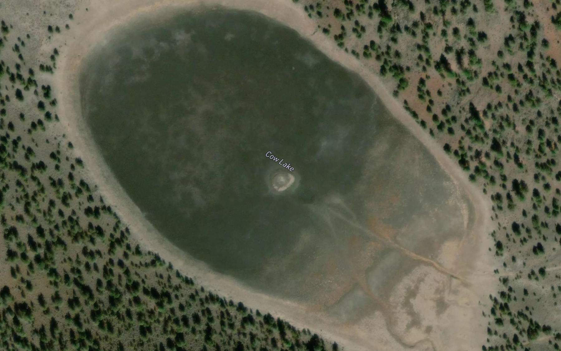 Satellite map of the Cow Lake