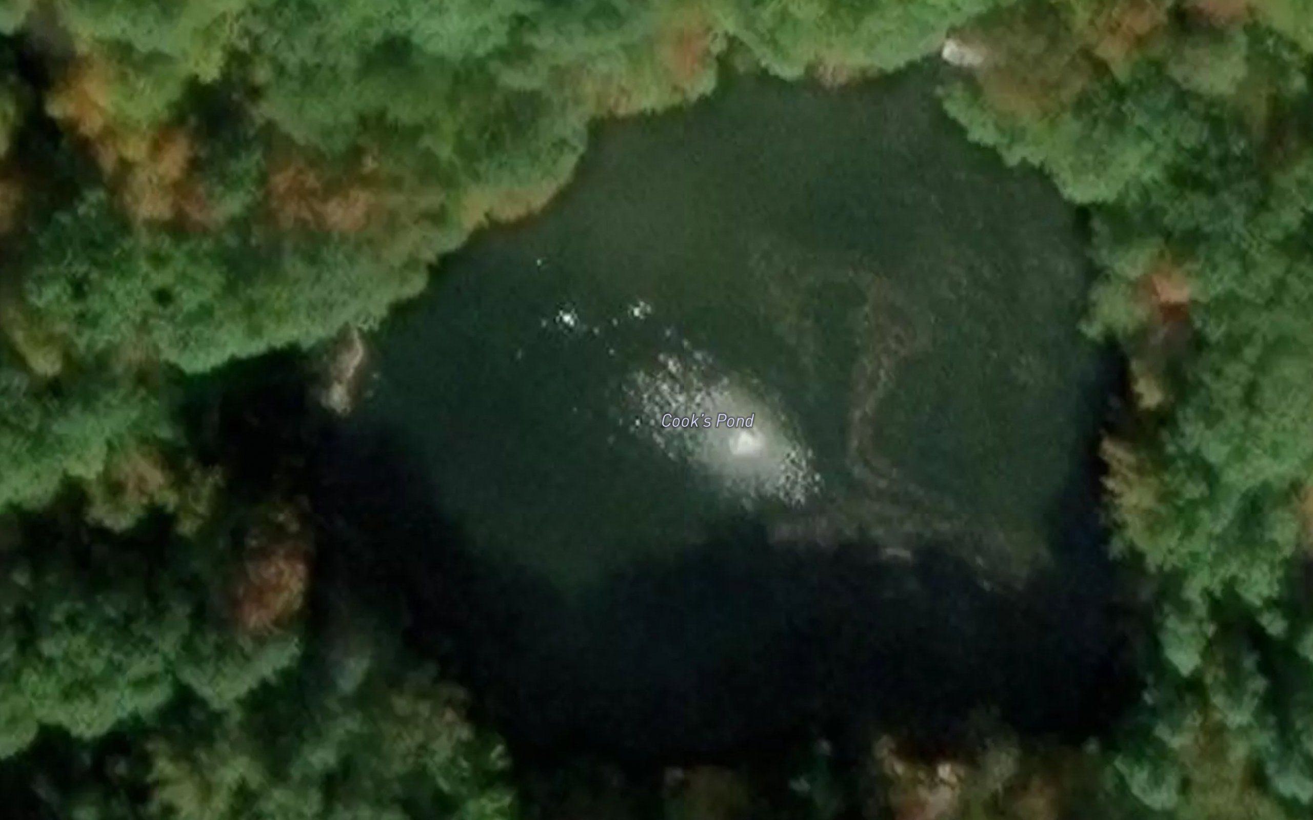 Cooks Pond
