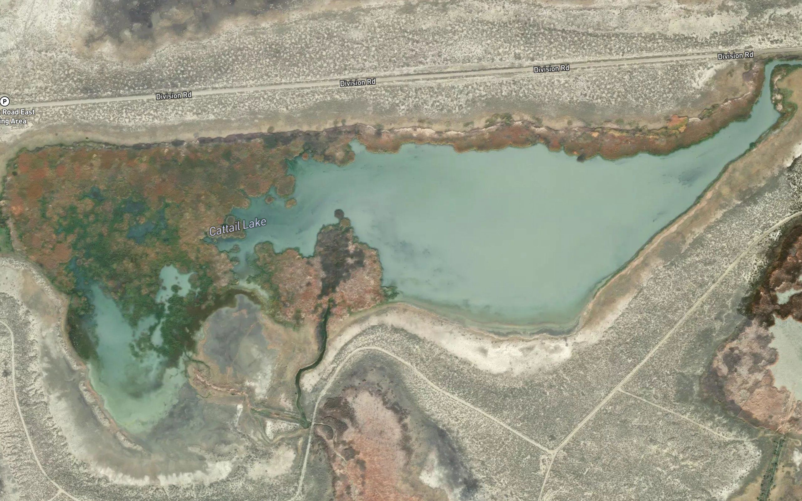 Cattail Lake