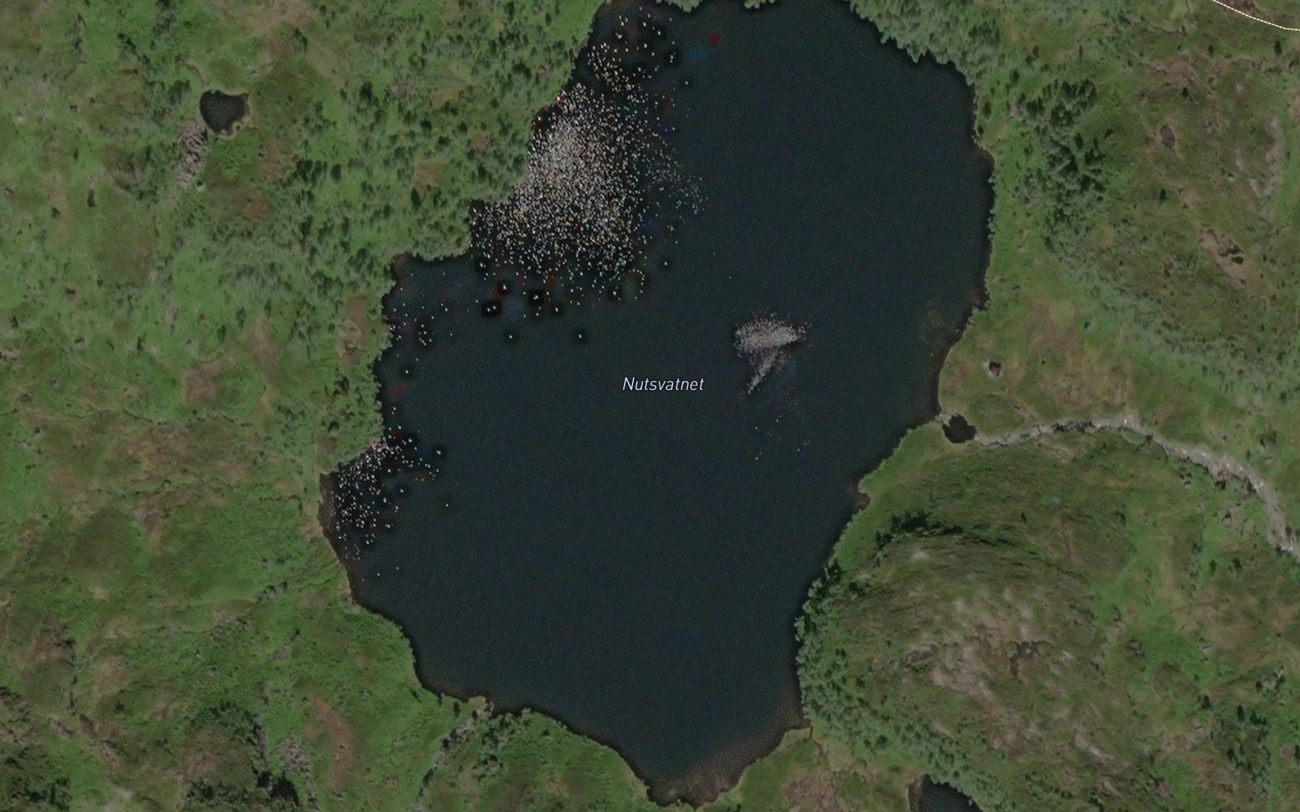 Nutsvatnet
