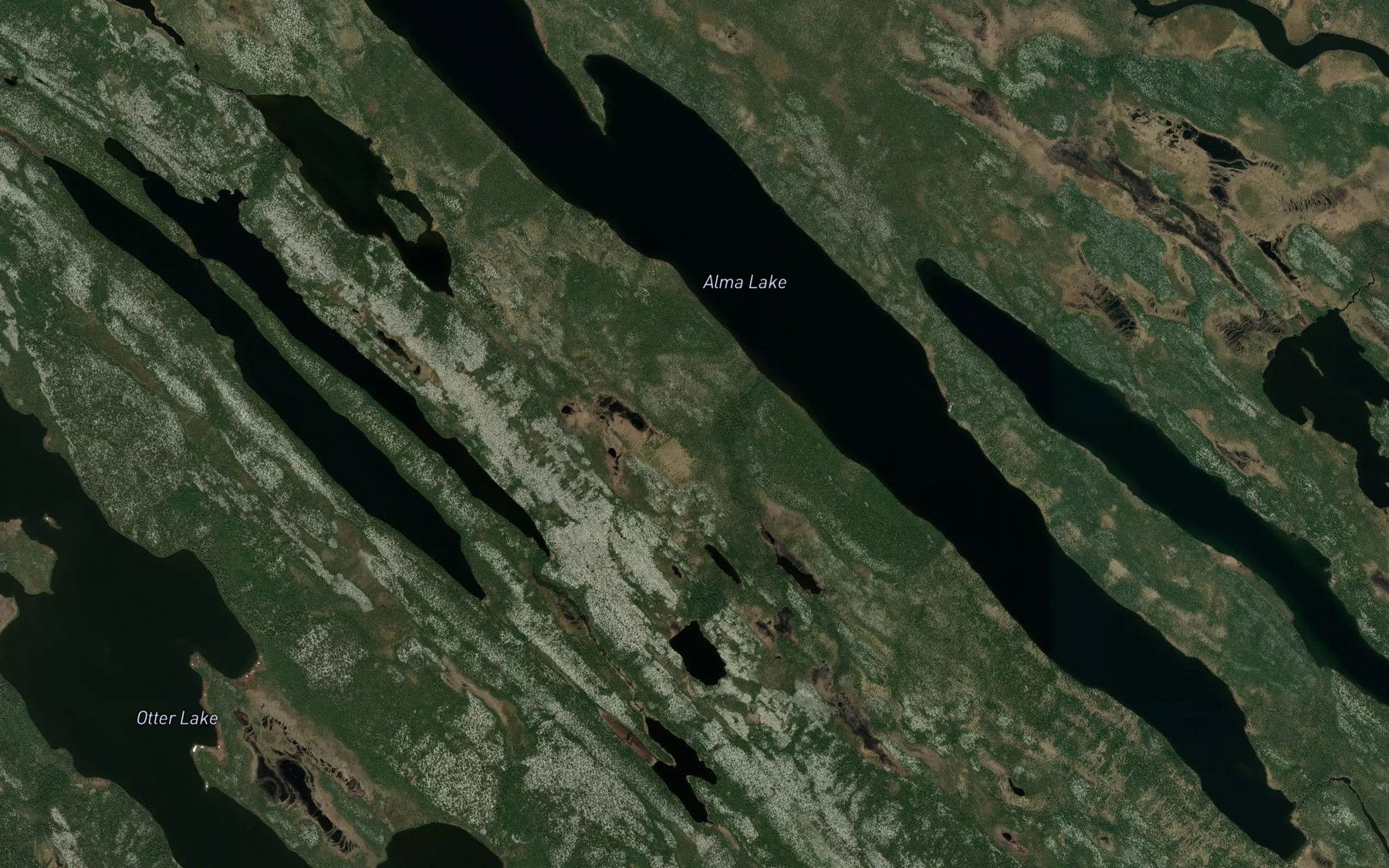 Satellite map of the Alma Lake