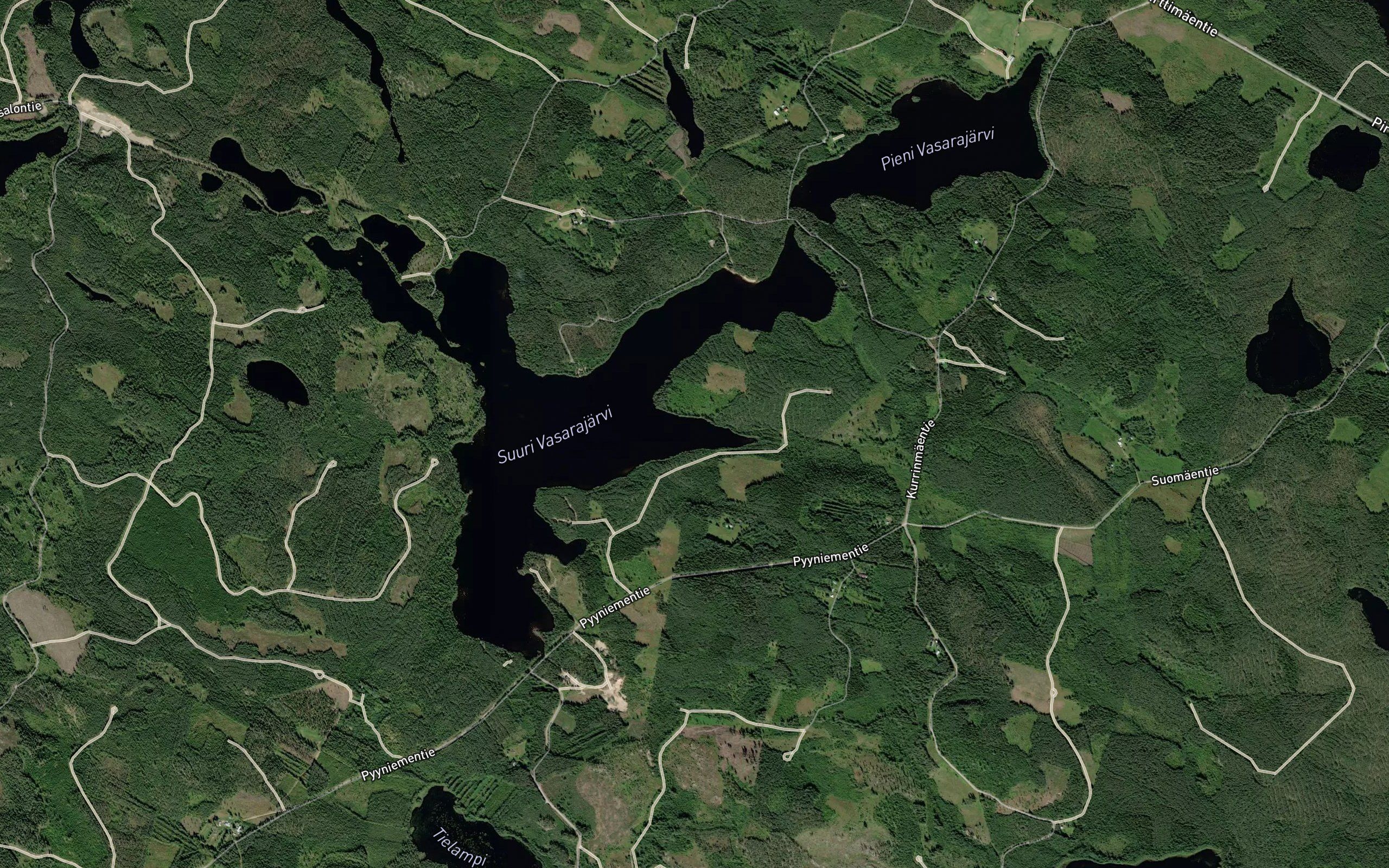 Pitkalahti