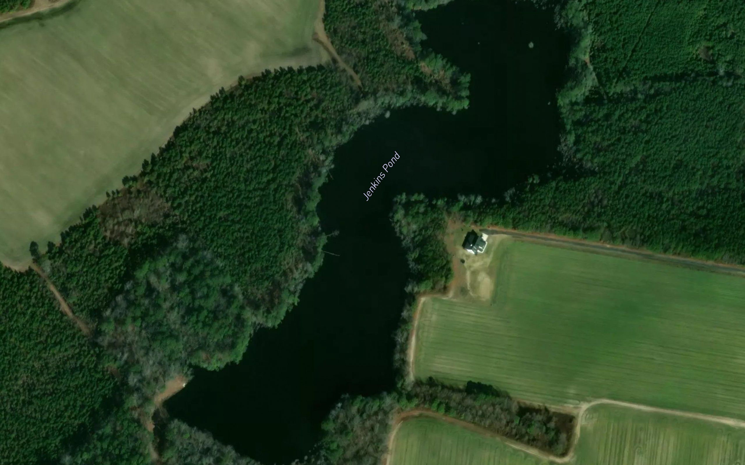 Jenkins Pond