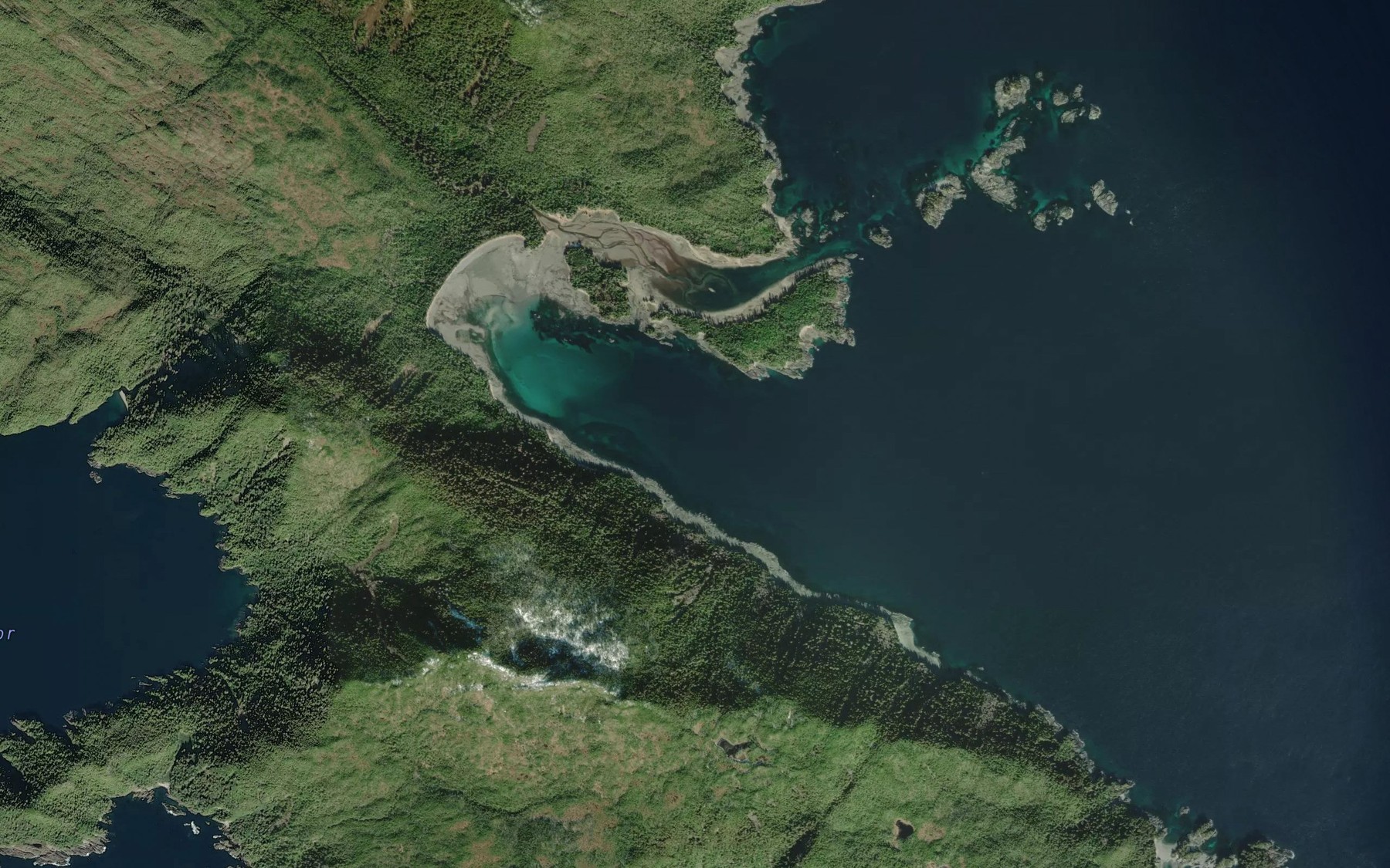Satellite map of the McLeod Bay