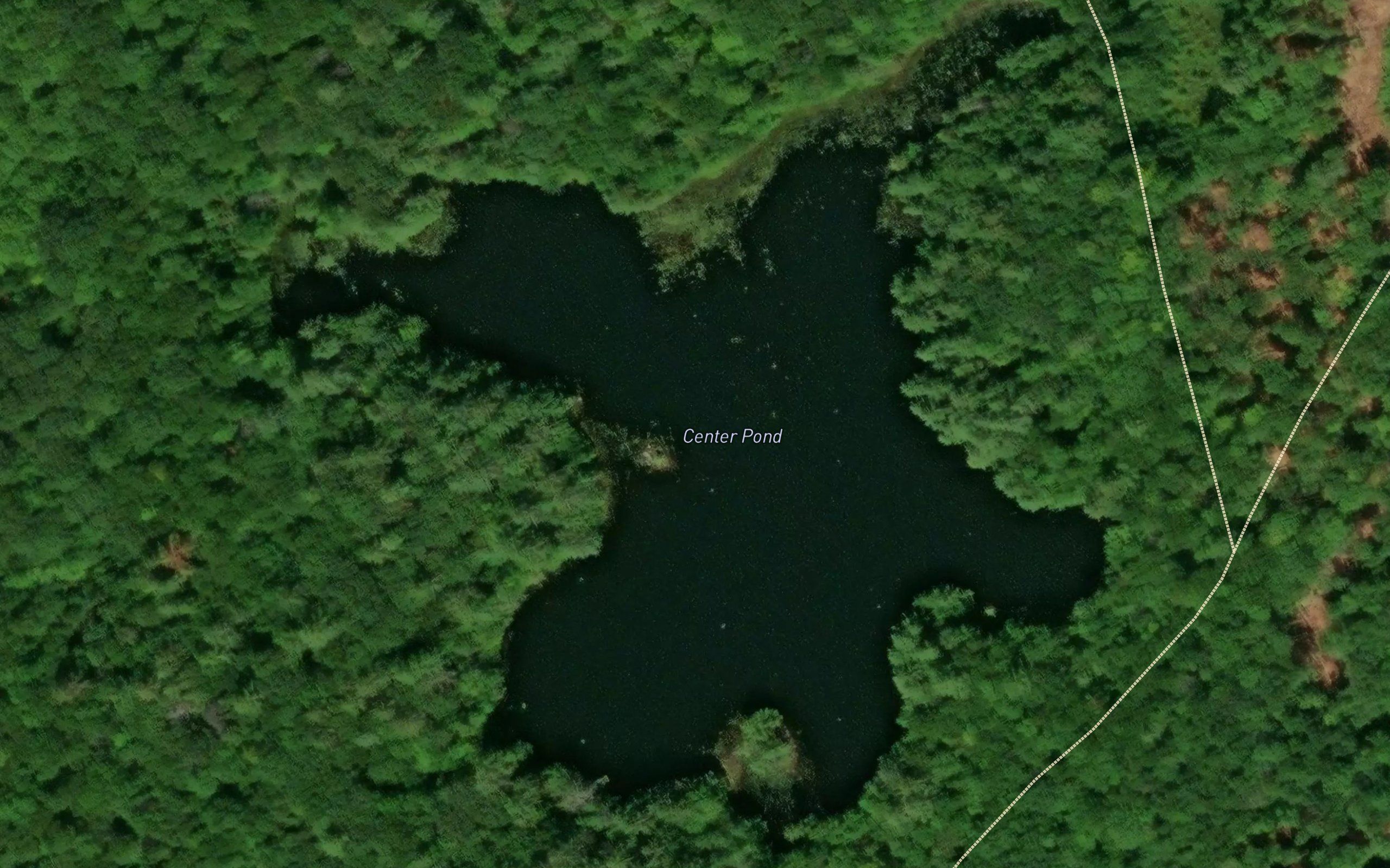 Center Pond
