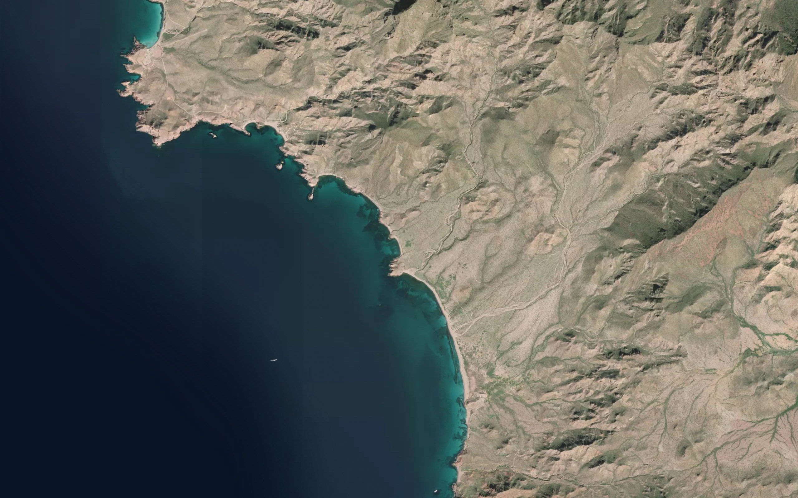 Rada Ballena